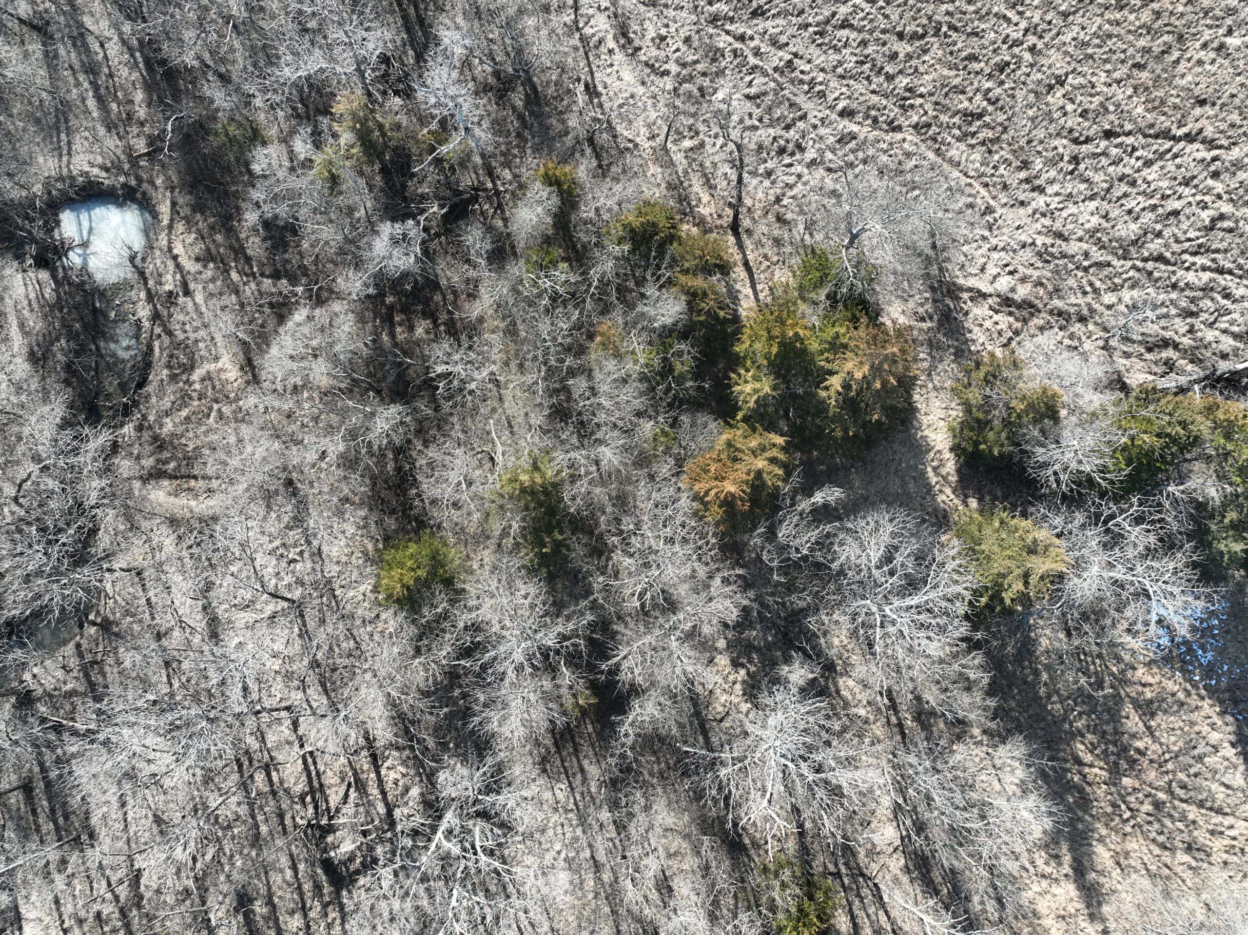 Excellent Building Site & Hunting Property in Coffey County Kansas