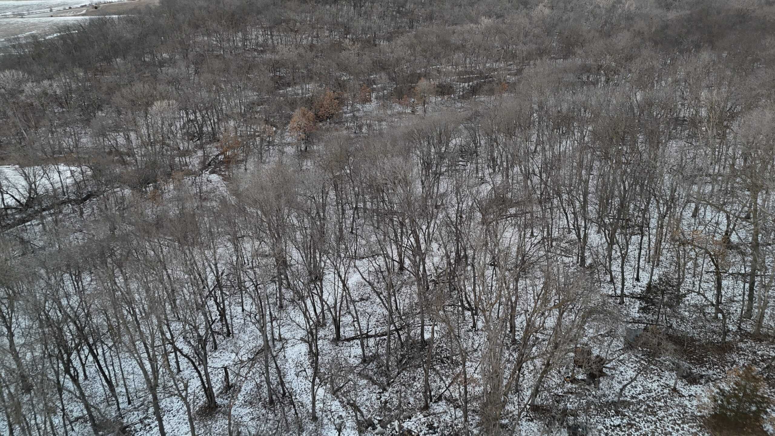 Hunting Paradise in Adair County, MO