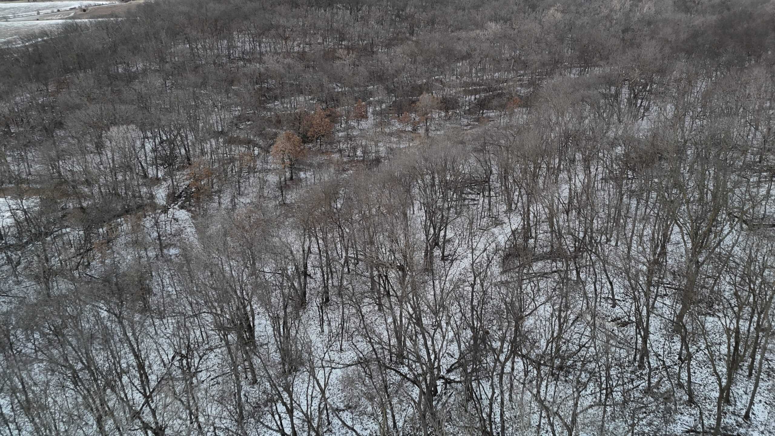 Hunting Paradise in Adair County, MO