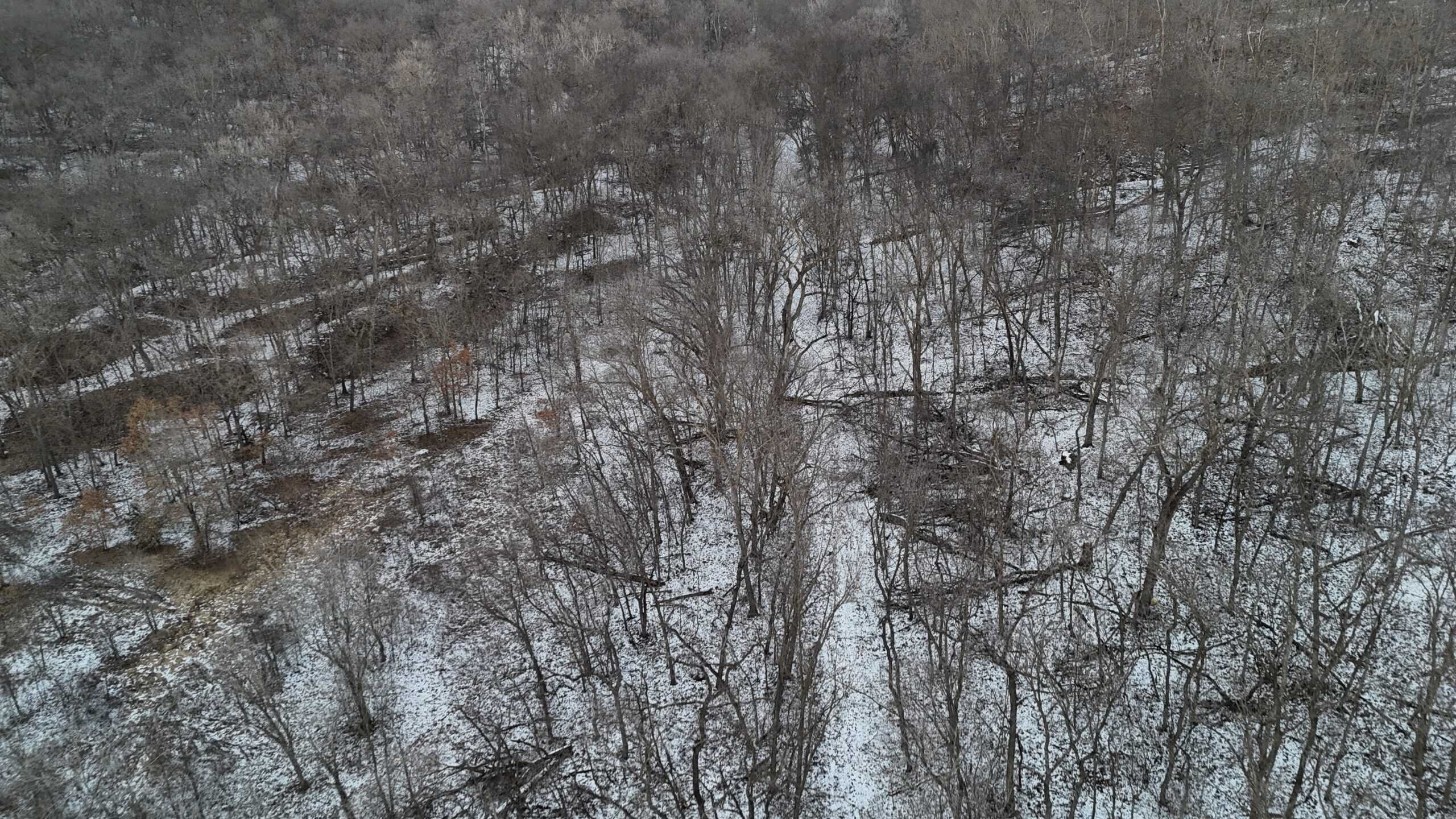 Hunting Paradise in Adair County, MO