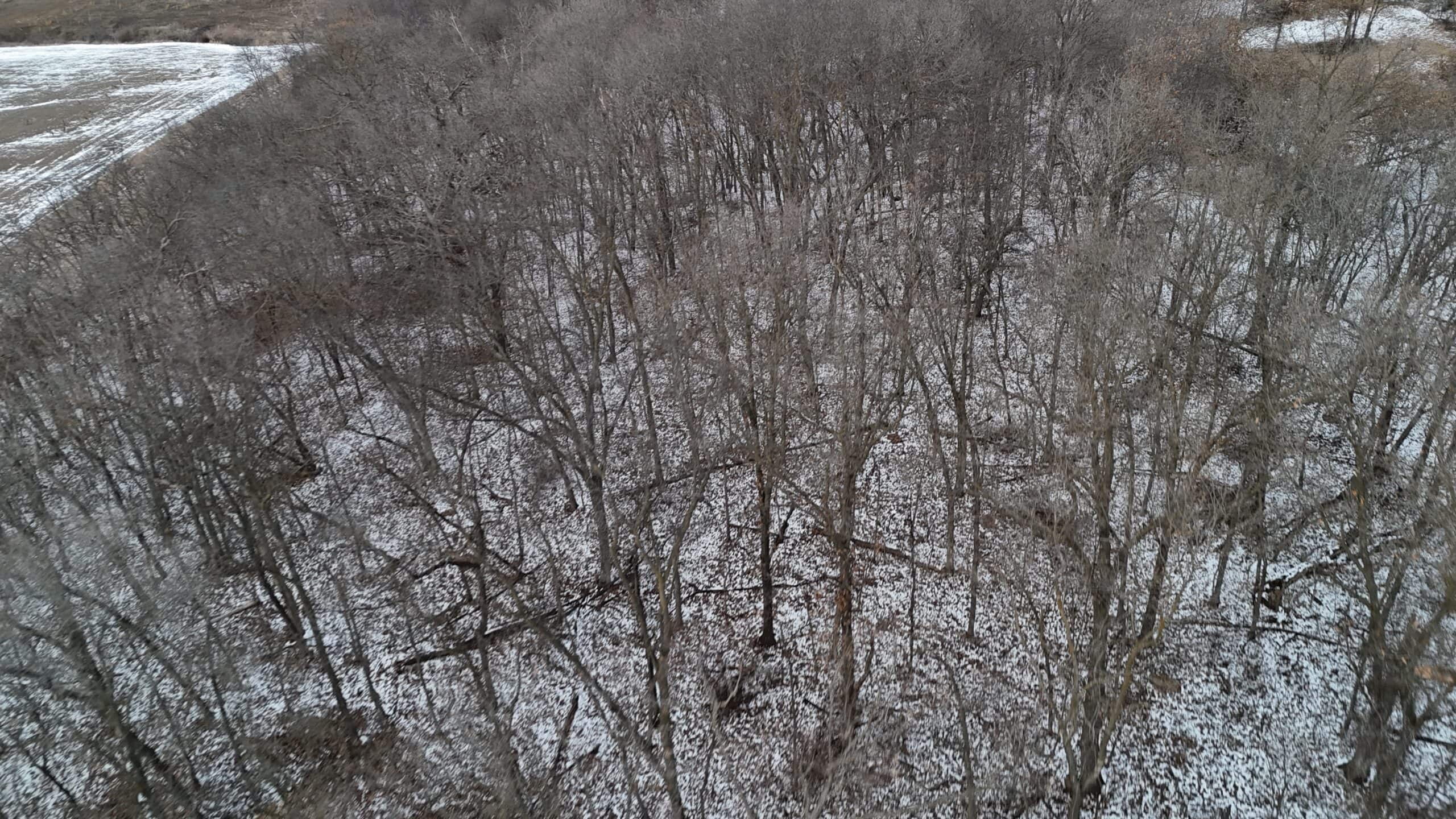 Hunting Paradise in Adair County, MO