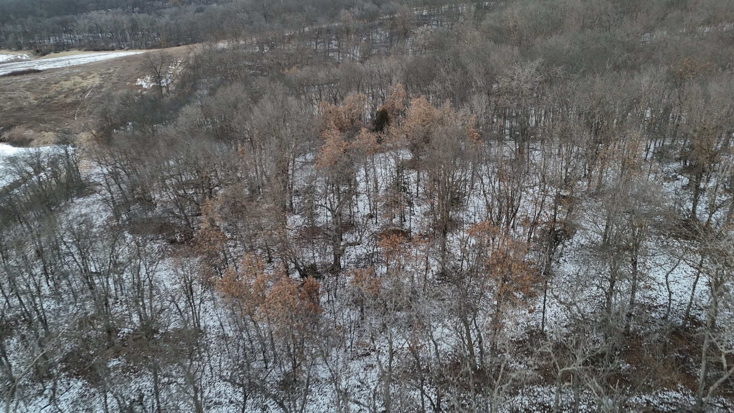 Hunting Paradise in Adair County, MO