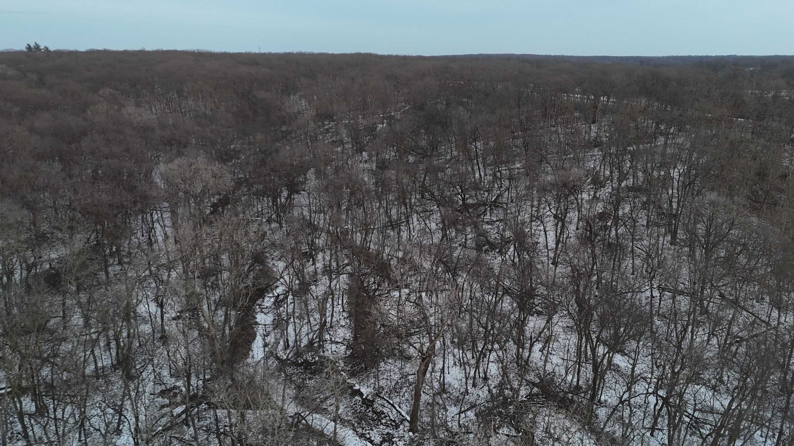 Hunting Paradise in Adair County, MO