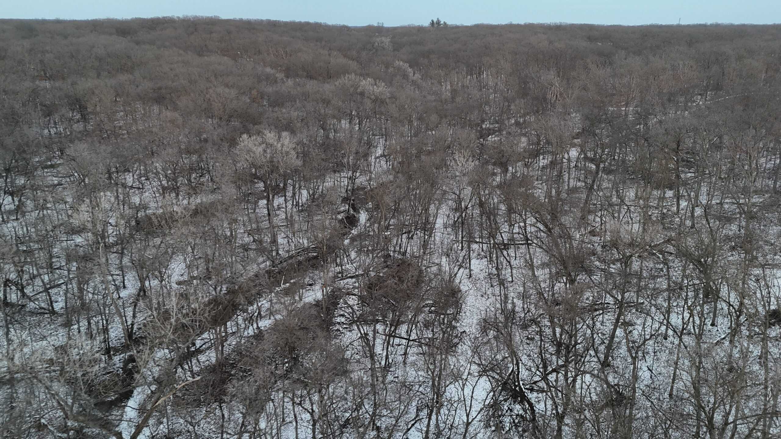 Hunting Paradise in Adair County, MO
