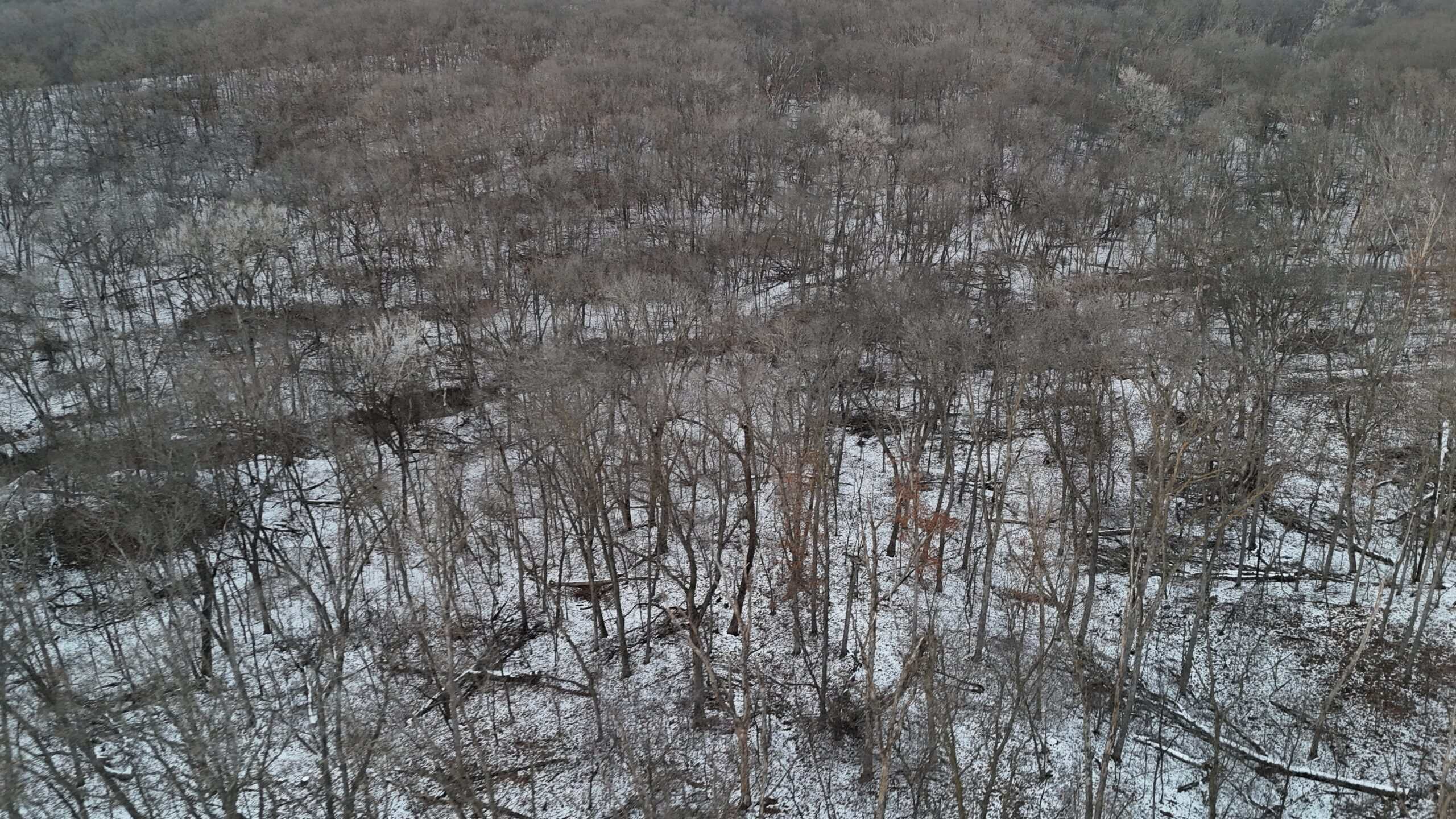 Hunting Paradise in Adair County, MO