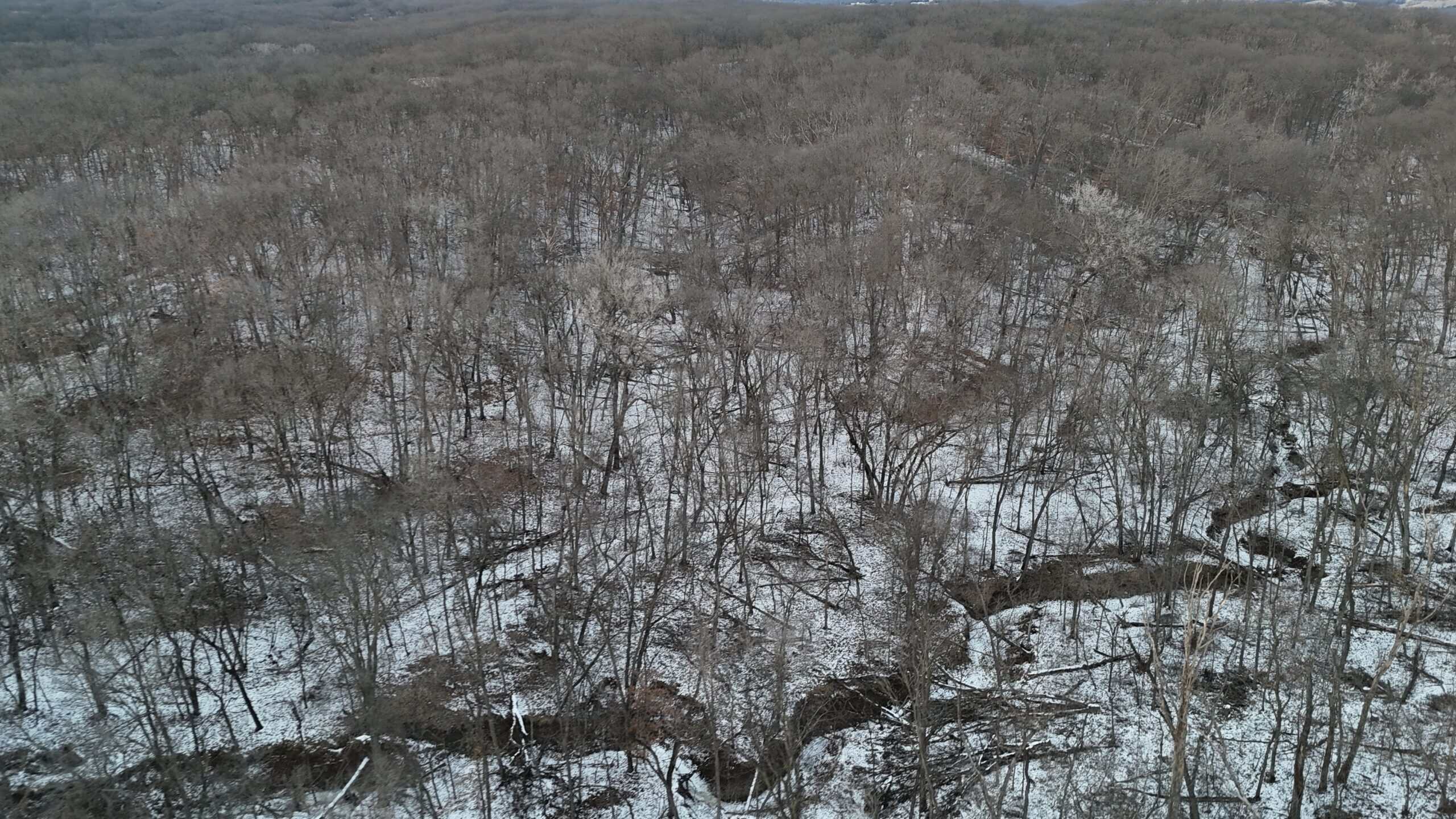 Hunting Paradise in Adair County, MO