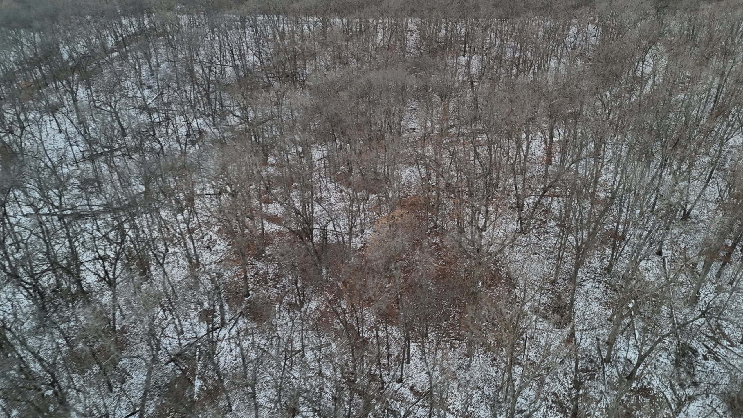 Hunting Paradise in Adair County, MO