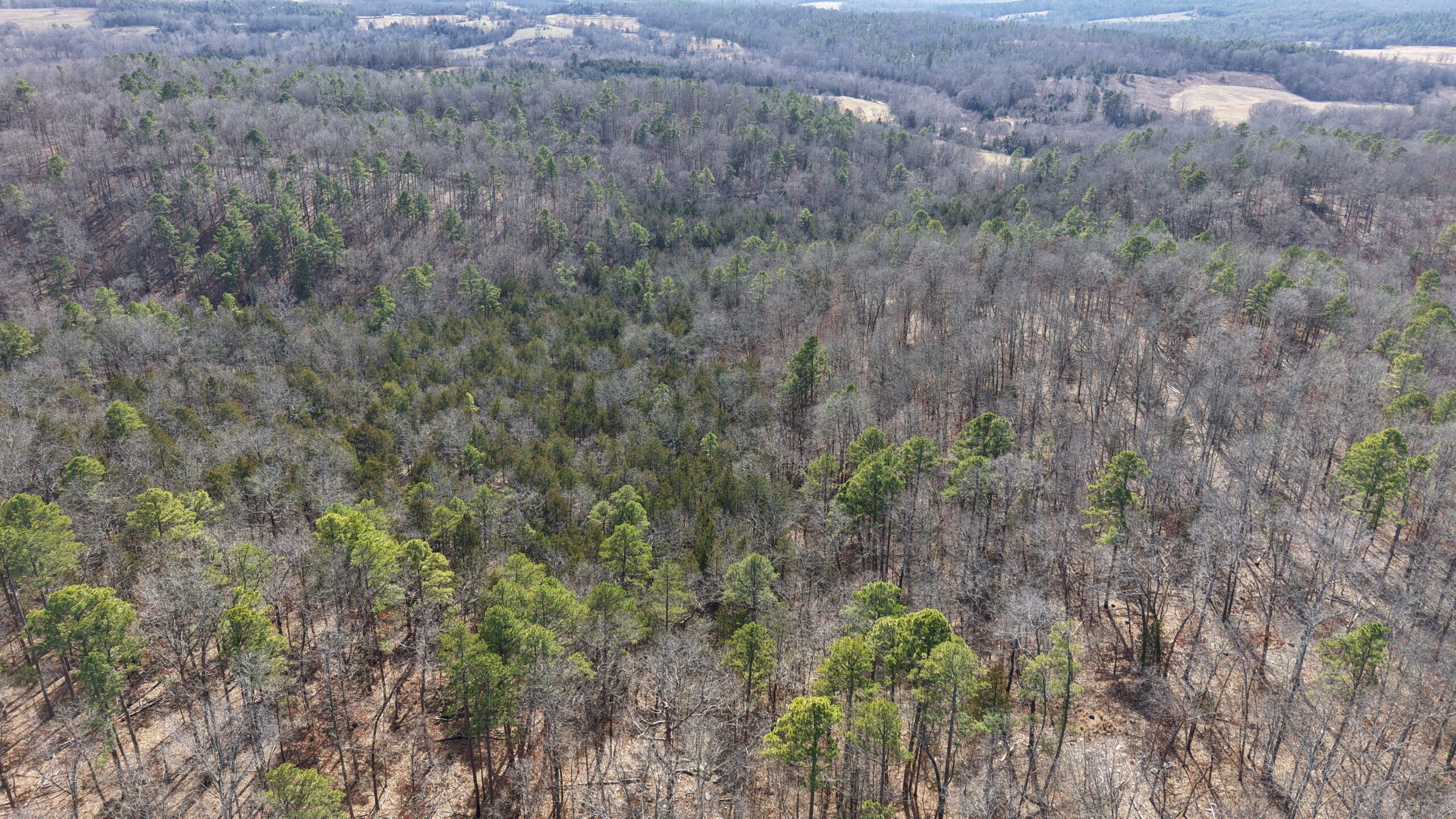 LAND WITH OFF-GRID CABIN FOR SALE IN NORTH CENTRAL ARKANSAS