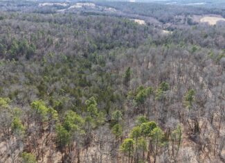 HUNTING AND RECREATIONAL LAND FOR SALE IN ARKANSAS