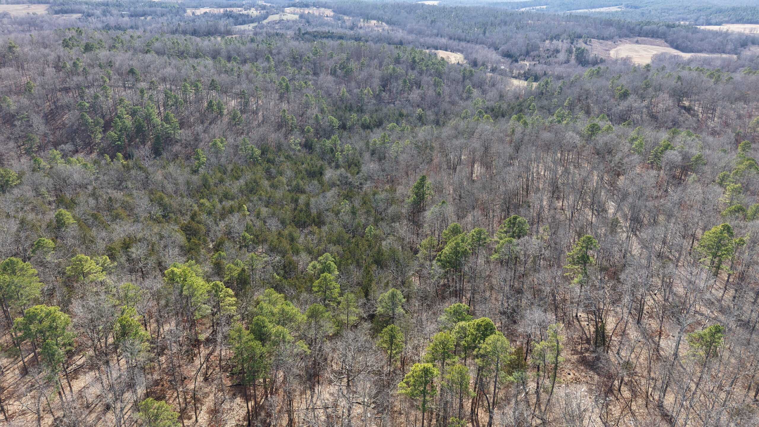 HUNTING AND RECREATIONAL LAND FOR SALE IN ARKANSAS