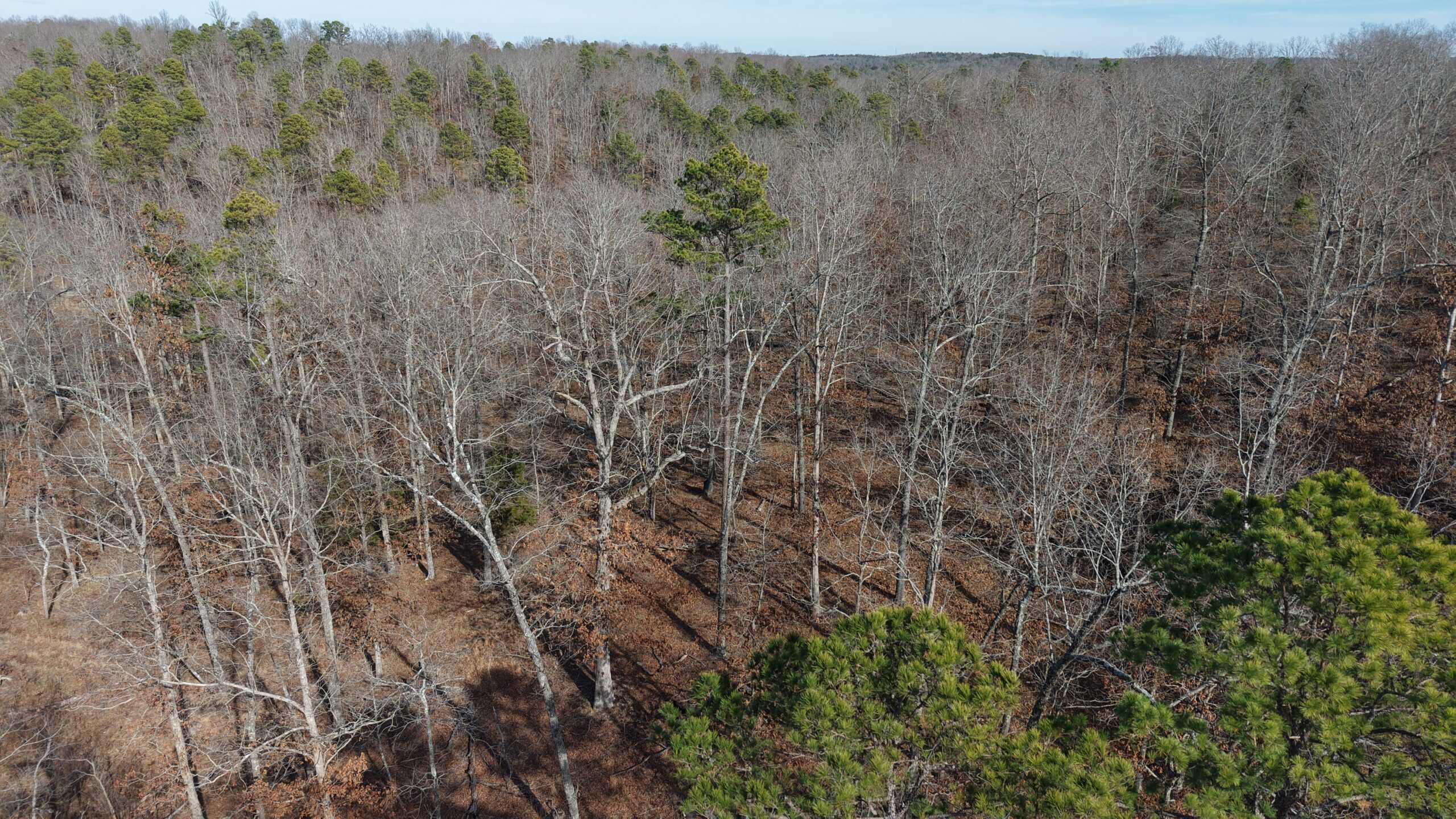 HUNTING AND RECREATIONAL LAND FOR SALE IN ARKANSAS