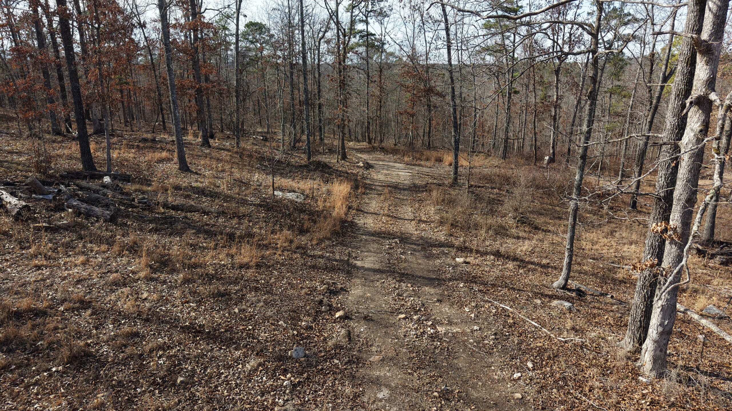 LAND WITH OFF-GRID CABIN FOR SALE IN NORTH CENTRAL ARKANSAS