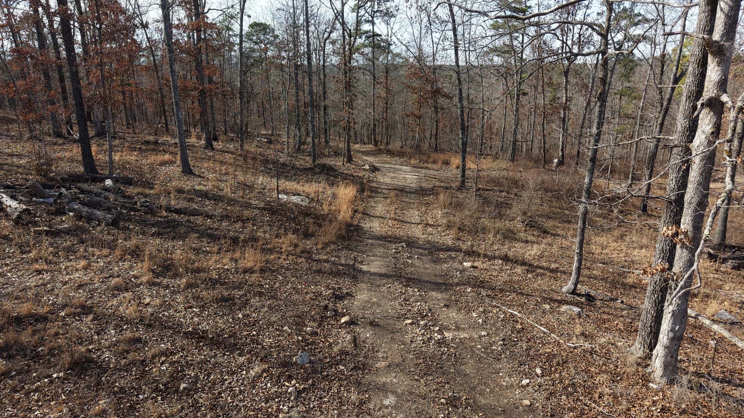HUNTING AND RECREATIONAL LAND FOR SALE IN ARKANSAS