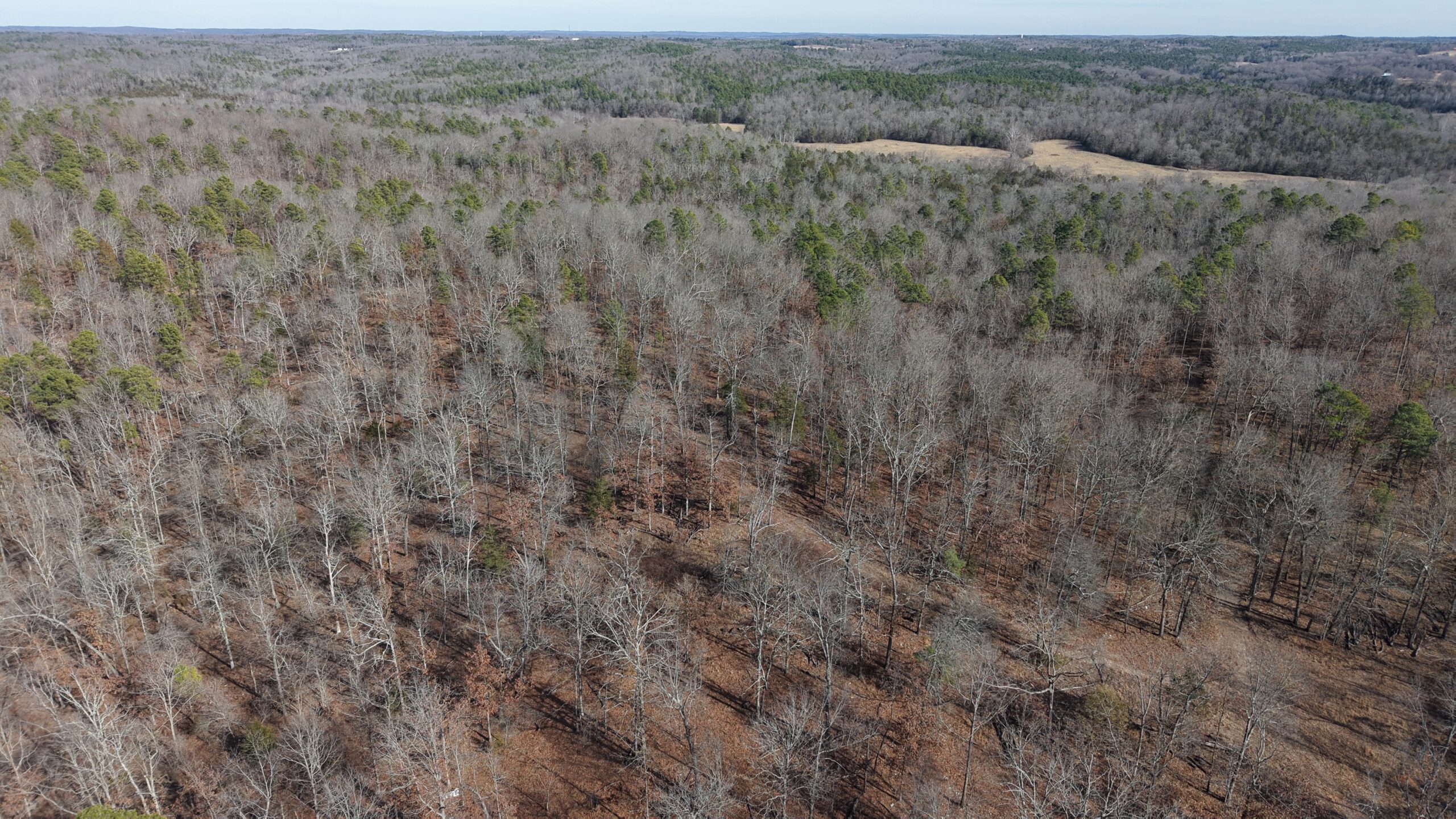 LAND WITH OFF-GRID CABIN FOR SALE IN NORTH CENTRAL ARKANSAS