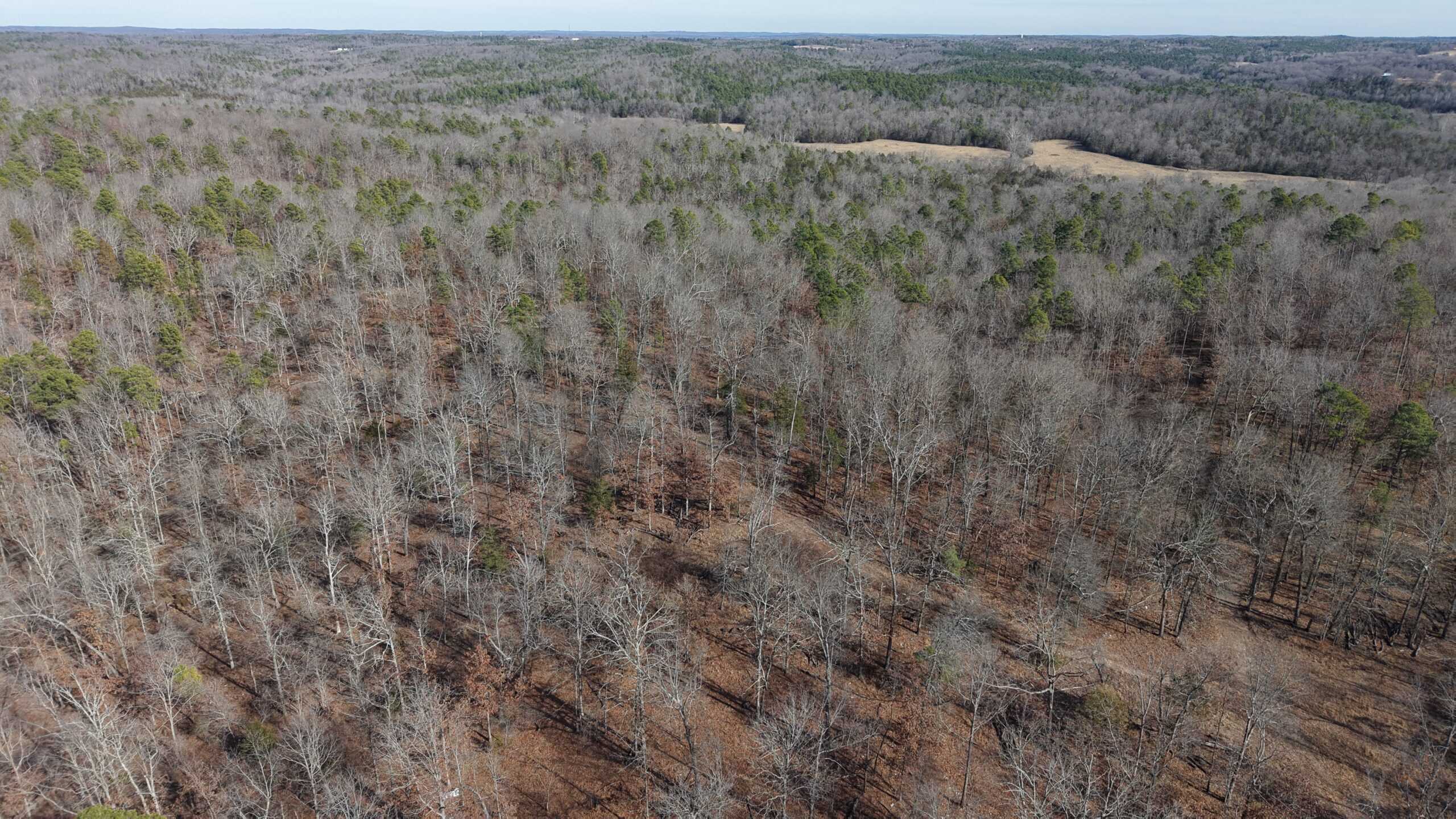 HUNTING AND RECREATIONAL LAND FOR SALE IN ARKANSAS