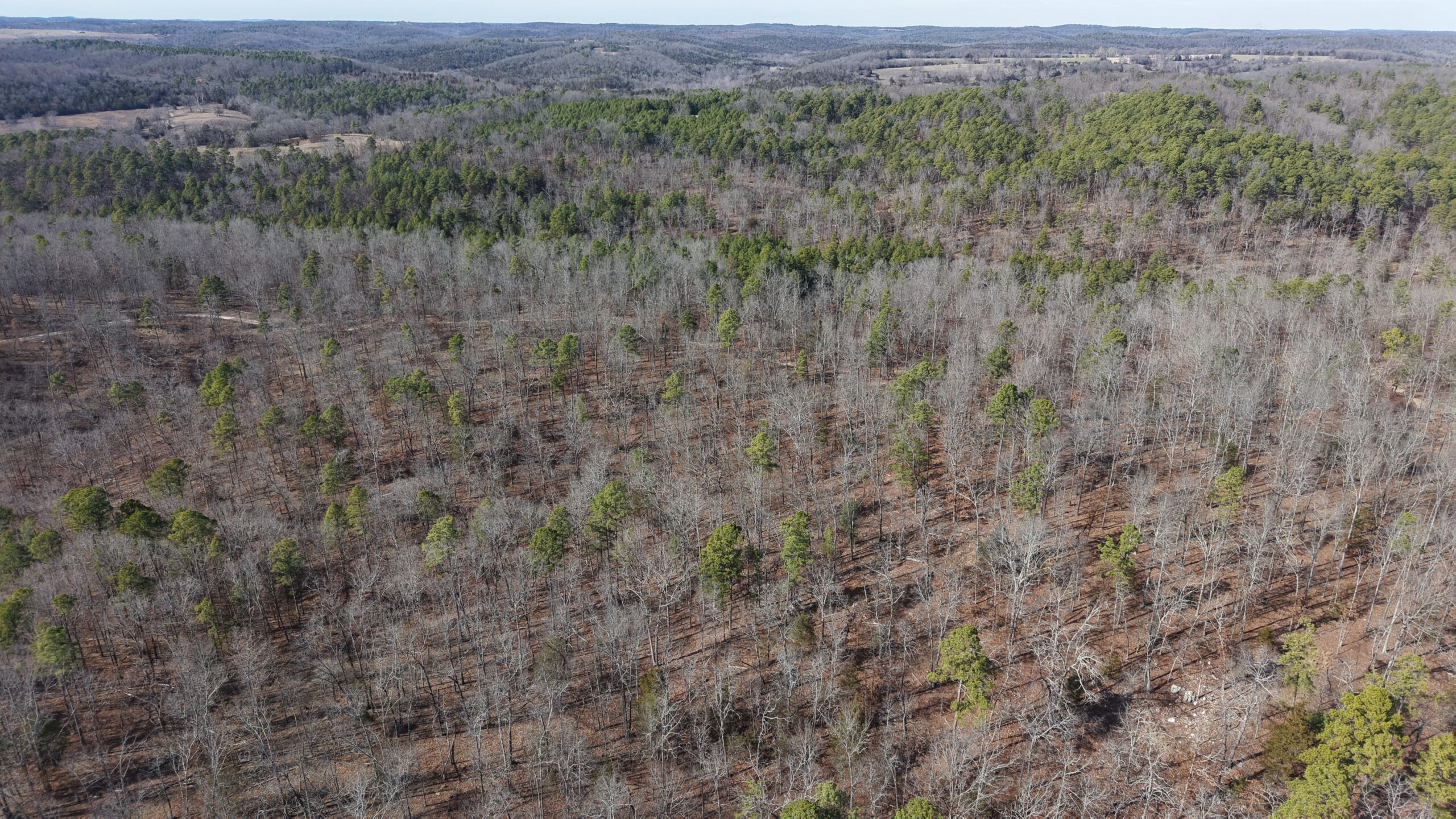 LAND WITH OFF-GRID CABIN FOR SALE IN NORTH CENTRAL ARKANSAS