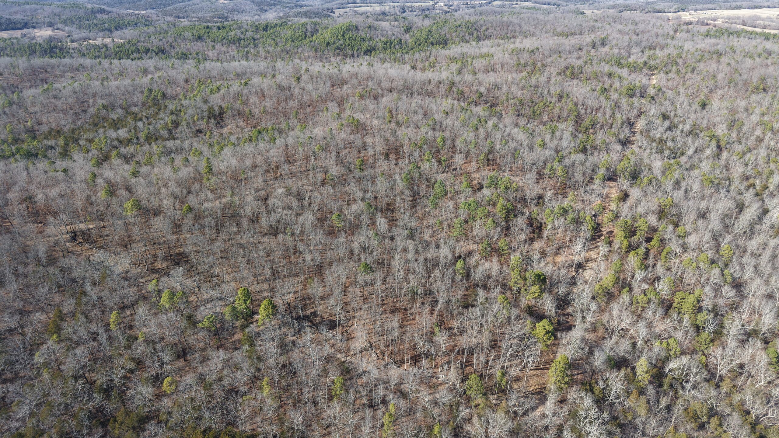 LAND WITH OFF-GRID CABIN FOR SALE IN NORTH CENTRAL ARKANSAS
