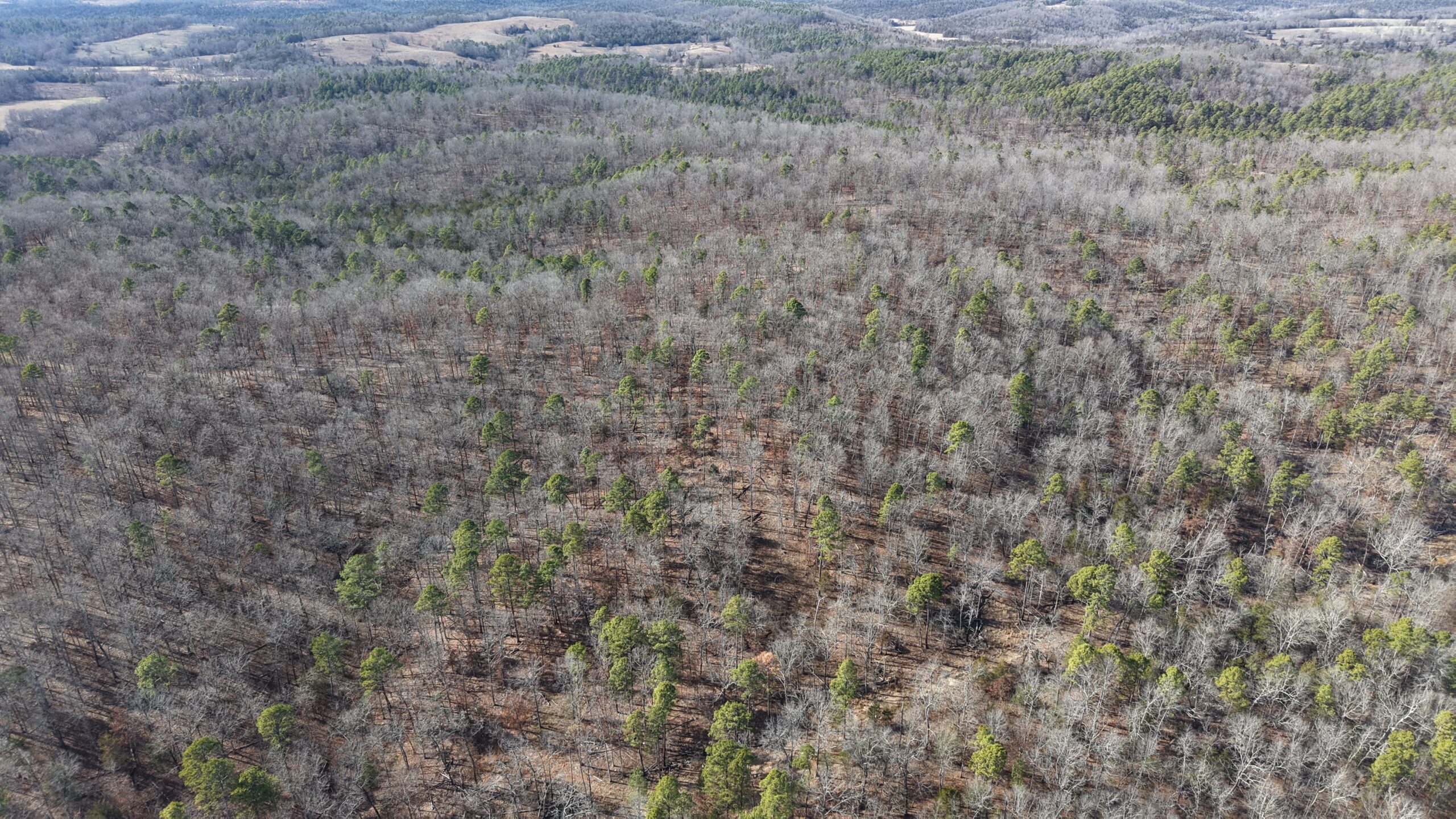 LAND WITH OFF-GRID CABIN FOR SALE IN NORTH CENTRAL ARKANSAS