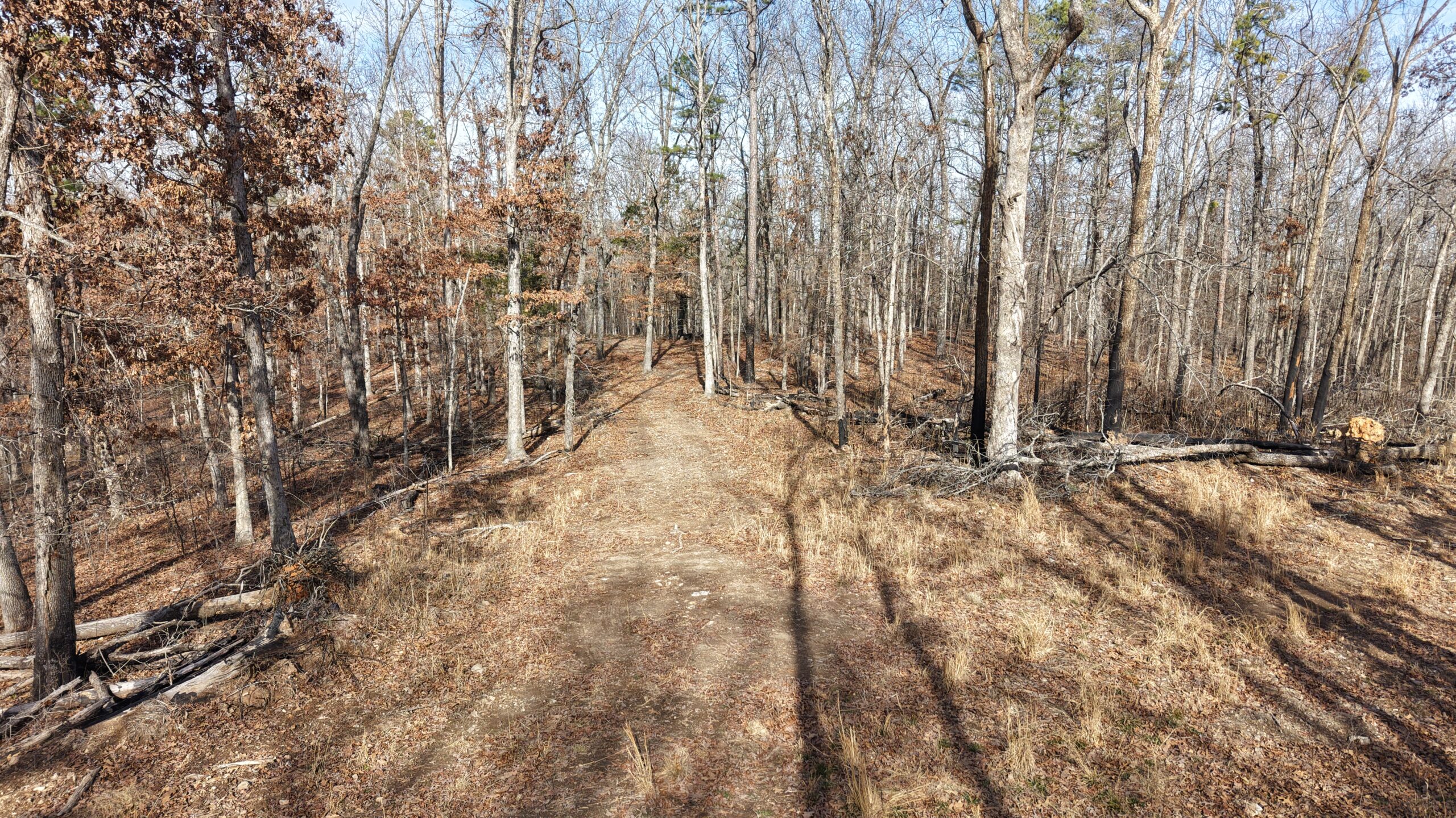 LAND WITH OFF-GRID CABIN FOR SALE IN NORTH CENTRAL ARKANSAS