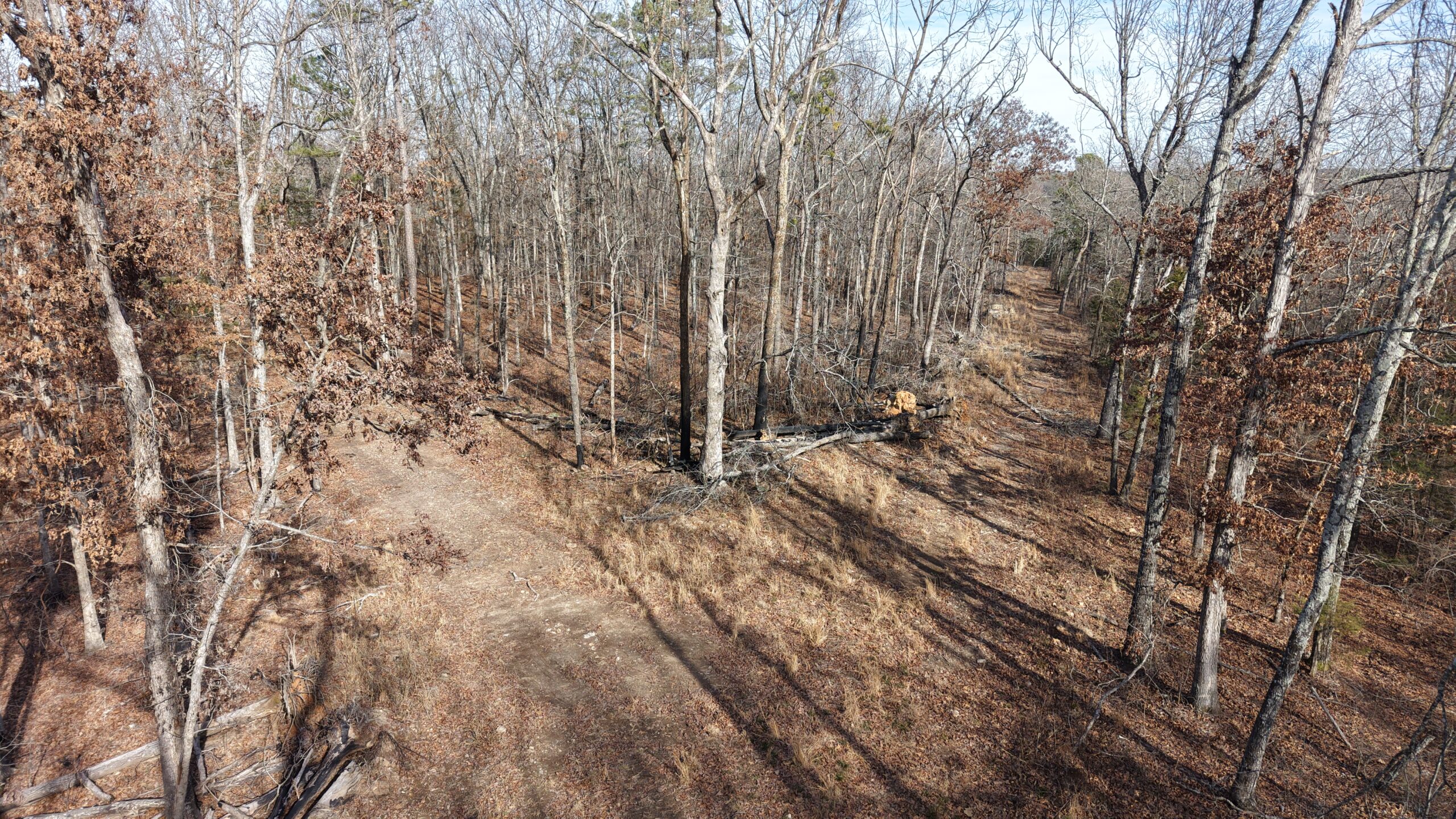LAND WITH OFF-GRID CABIN FOR SALE IN NORTH CENTRAL ARKANSAS