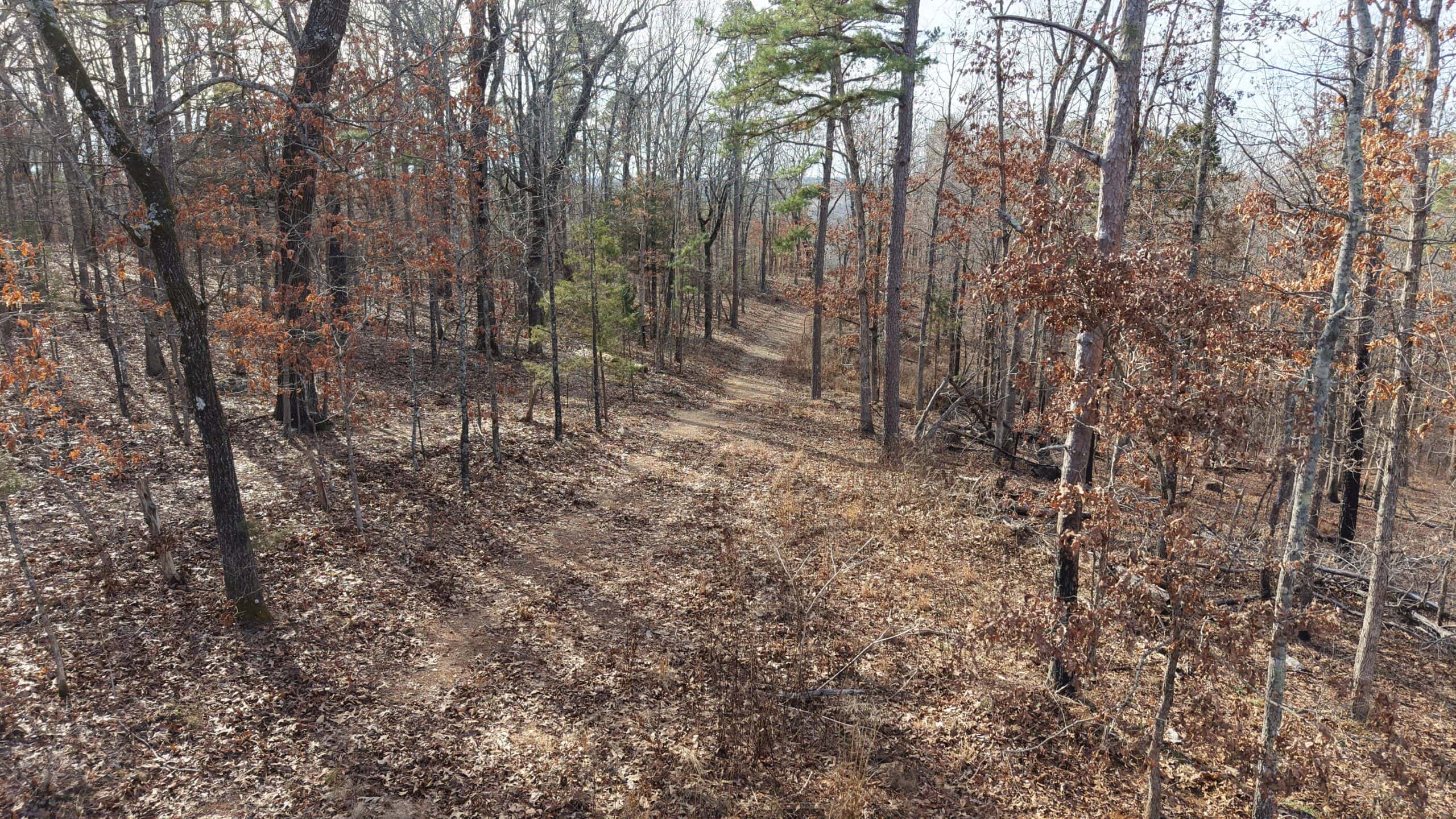HUNTING AND RECREATIONAL LAND FOR SALE IN ARKANSAS