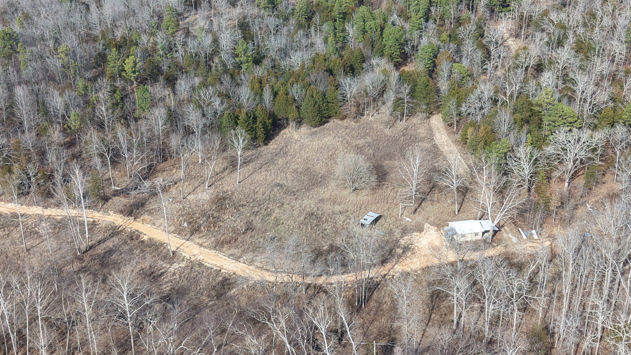 LAND WITH OFF-GRID CABIN FOR SALE IN NORTH CENTRAL ARKANSAS