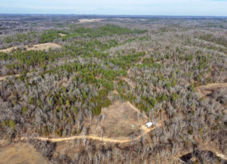 LAND WITH OFF-GRID CABIN FOR SALE IN NORTH CENTRAL ARKANSAS