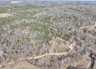 LAND WITH OFF-GRID CABIN FOR SALE IN NORTH CENTRAL ARKANSAS