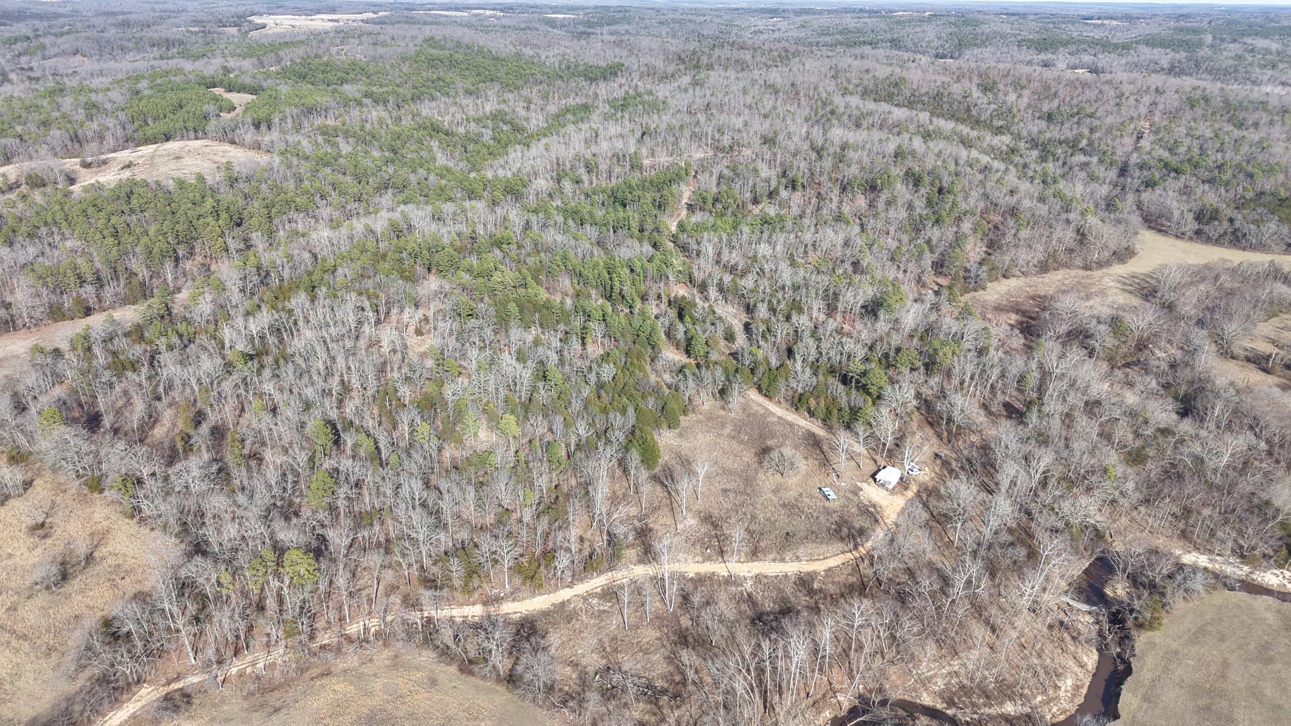 LAND WITH OFF-GRID CABIN FOR SALE IN NORTH CENTRAL ARKANSAS