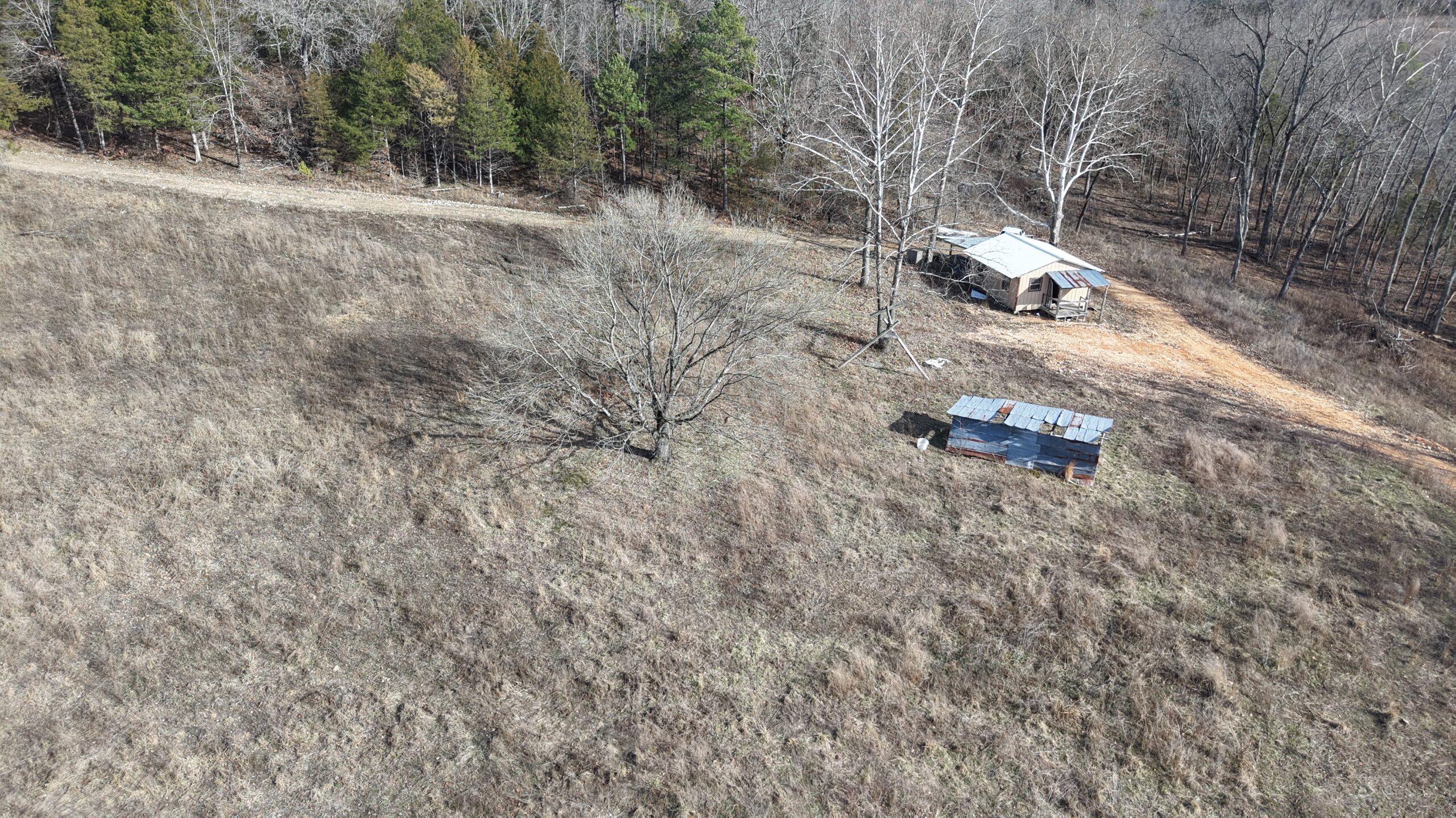 LAND WITH OFF-GRID CABIN FOR SALE IN NORTH CENTRAL ARKANSAS