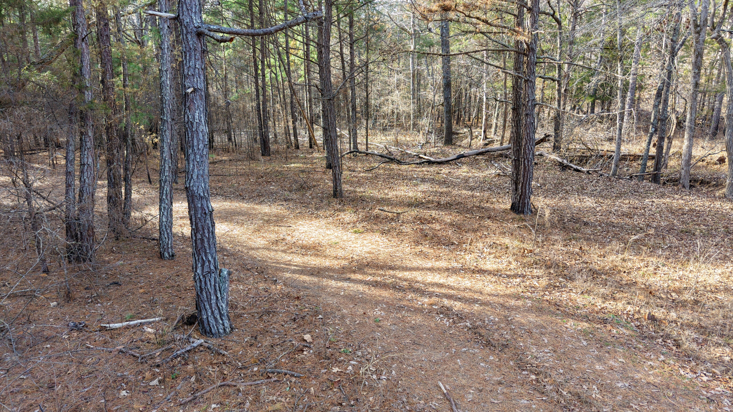 LAND WITH OFF-GRID CABIN FOR SALE IN NORTH CENTRAL ARKANSAS