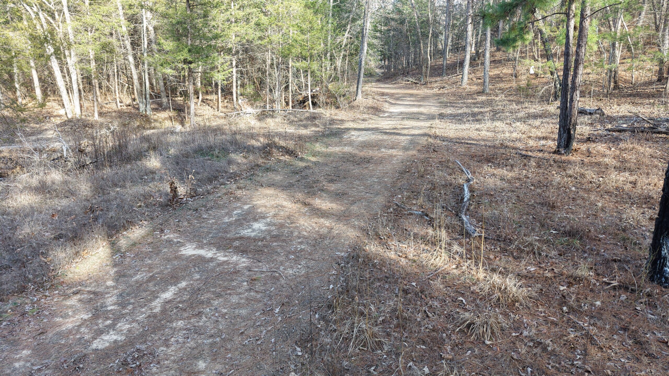 LAND WITH OFF-GRID CABIN FOR SALE IN NORTH CENTRAL ARKANSAS