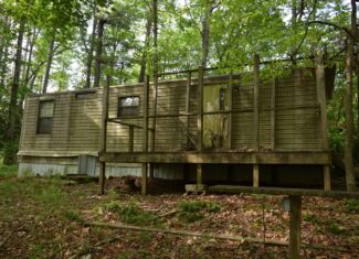 Wooded Land for Sale in Floyd VA