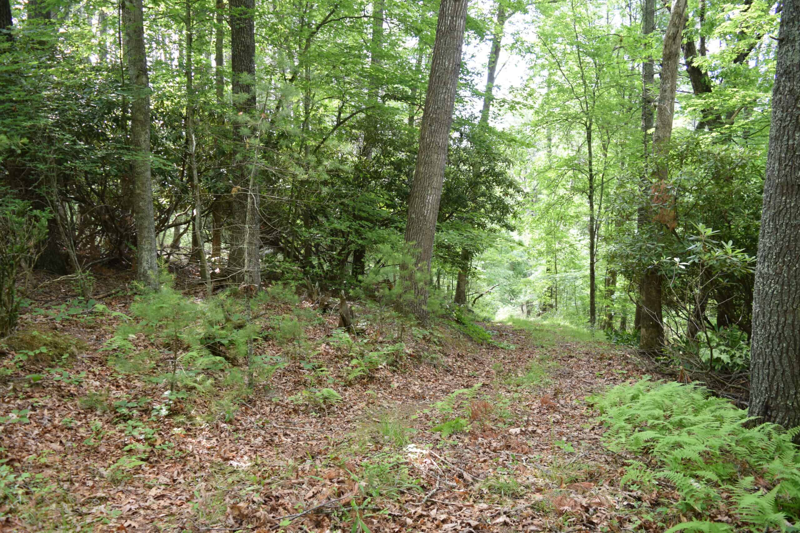 Wooded Land for Sale in Floyd VA