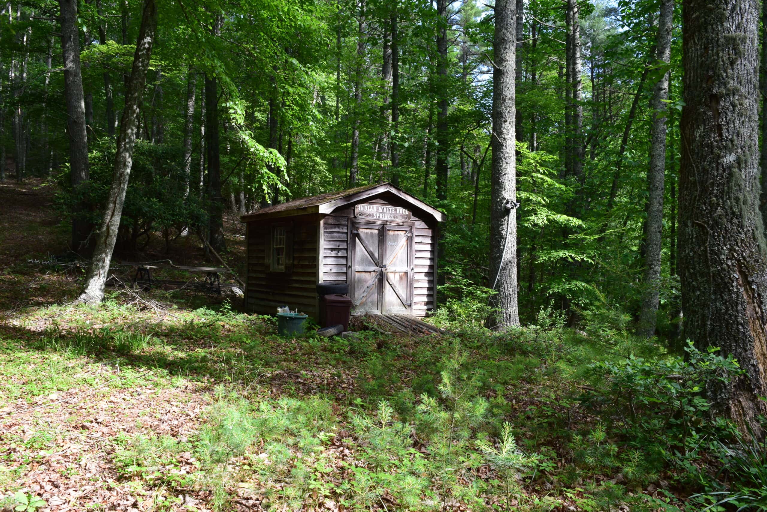 Wooded Land for Sale in Floyd VA