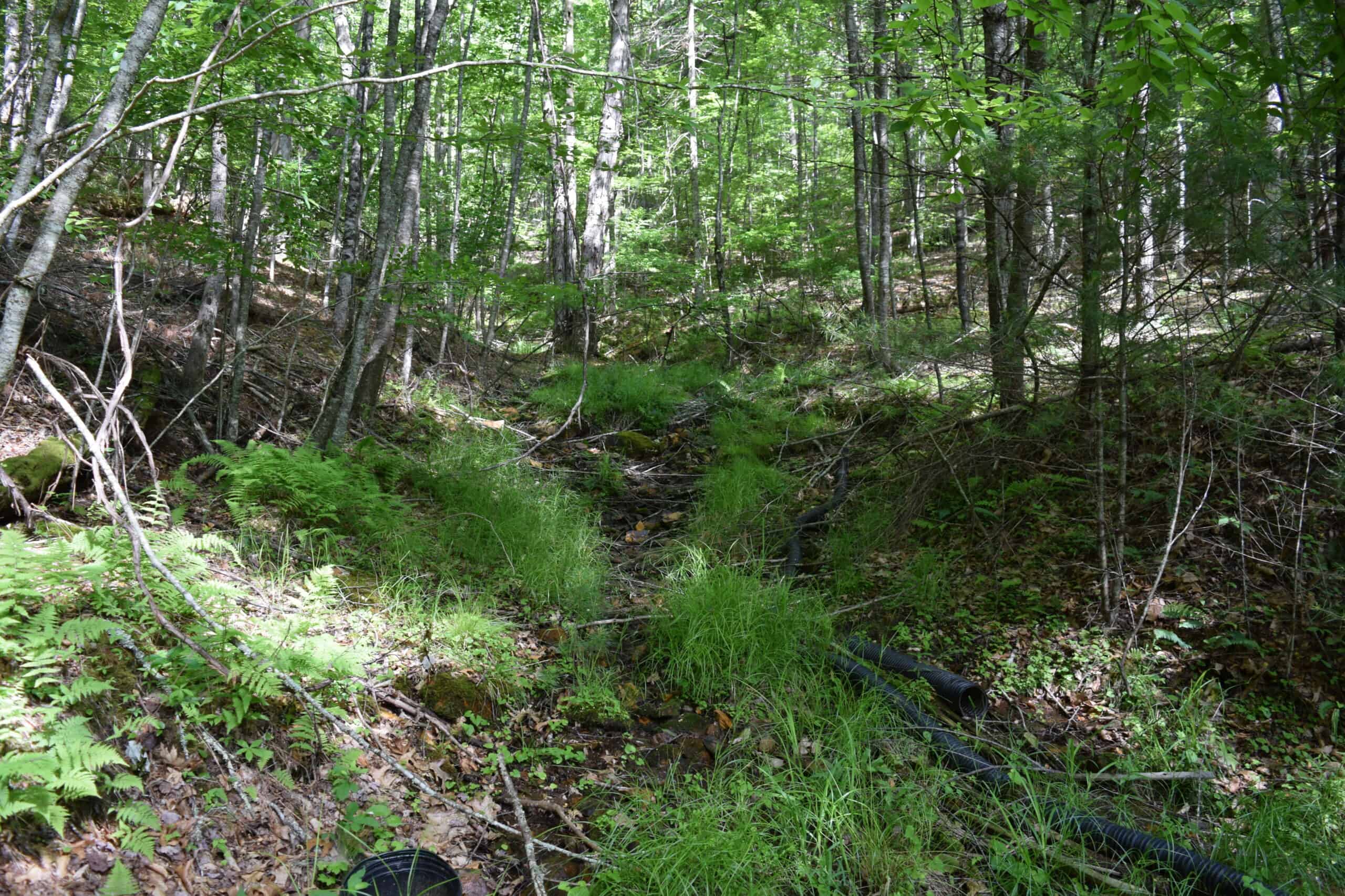 Wooded Land for Sale in Floyd VA