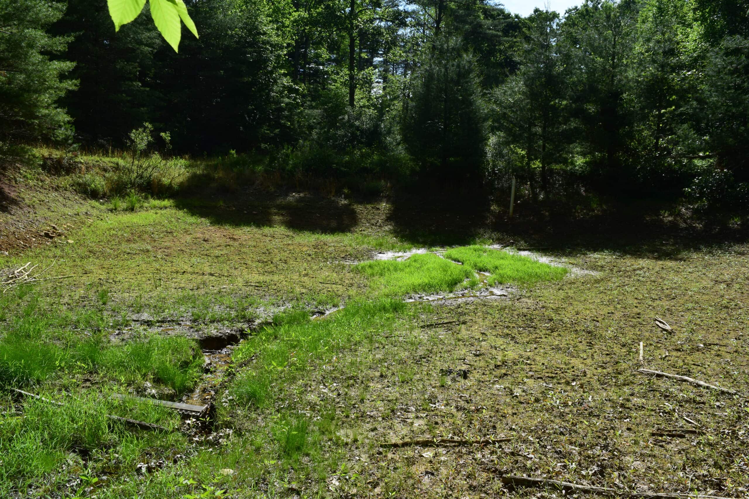Wooded Land for Sale in Floyd VA