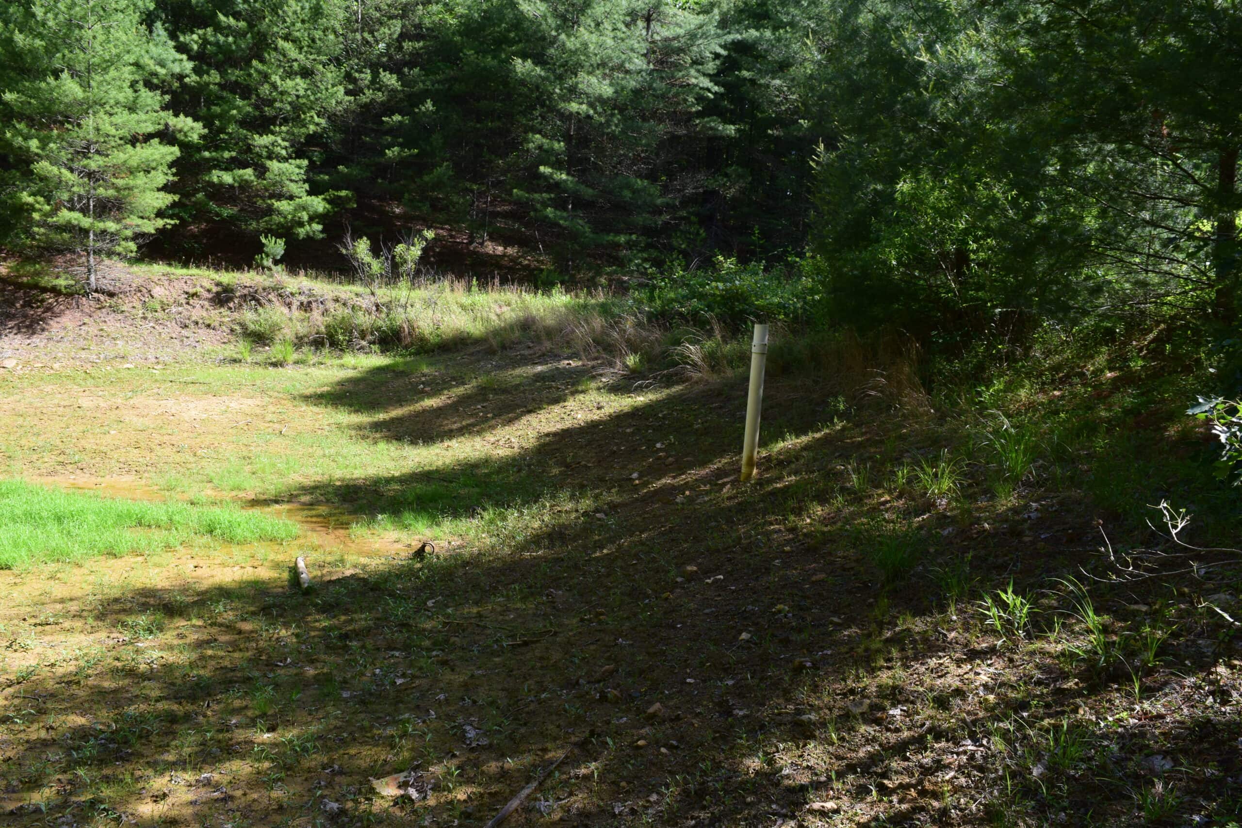 Wooded Land for Sale in Floyd VA