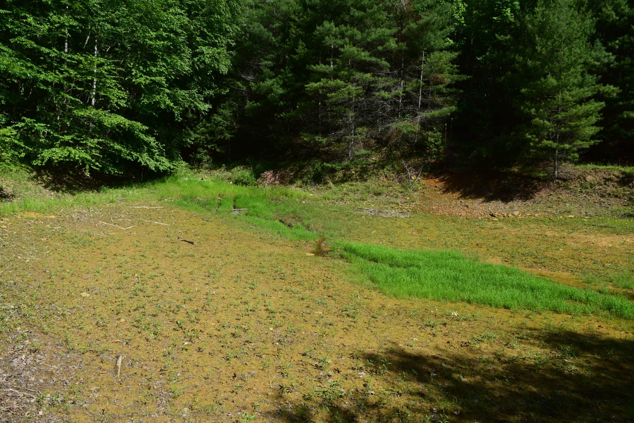 Wooded Land for Sale in Floyd VA