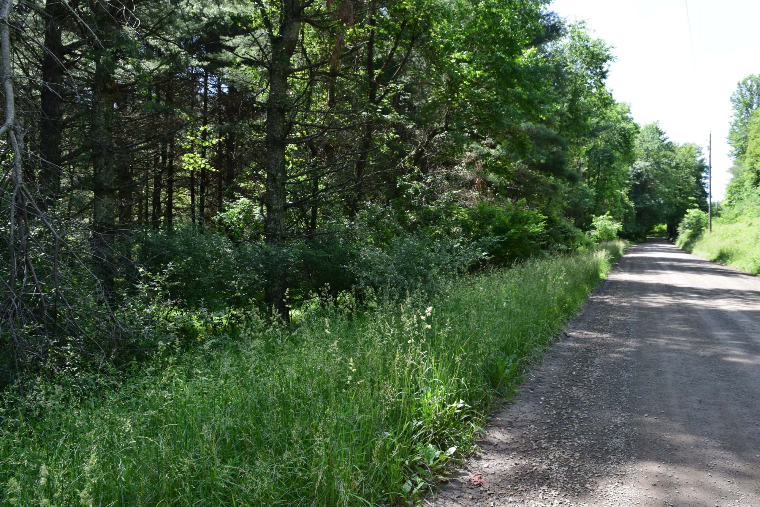 Wooded Land for Sale in Floyd VA