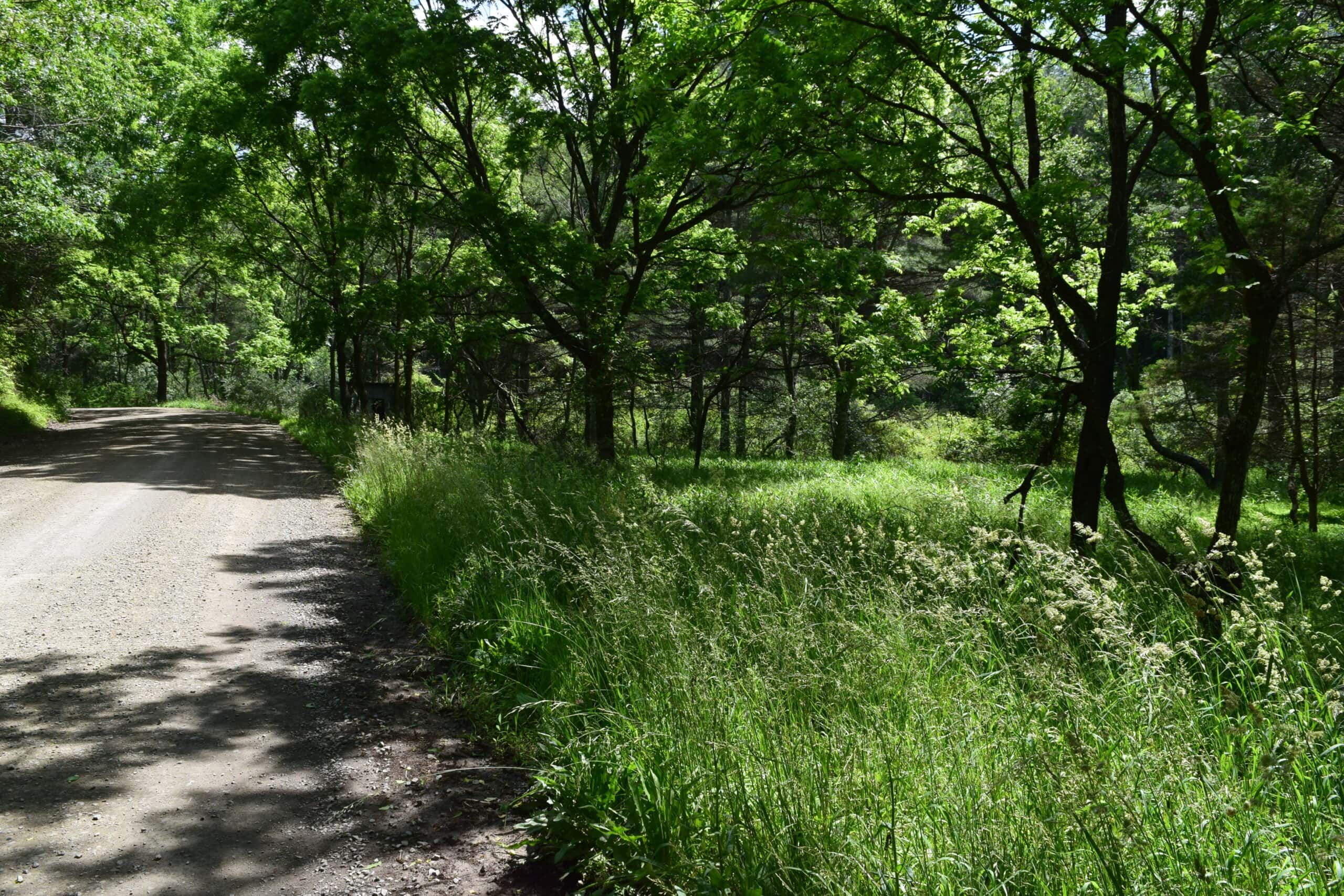 Wooded Land for Sale in Floyd VA