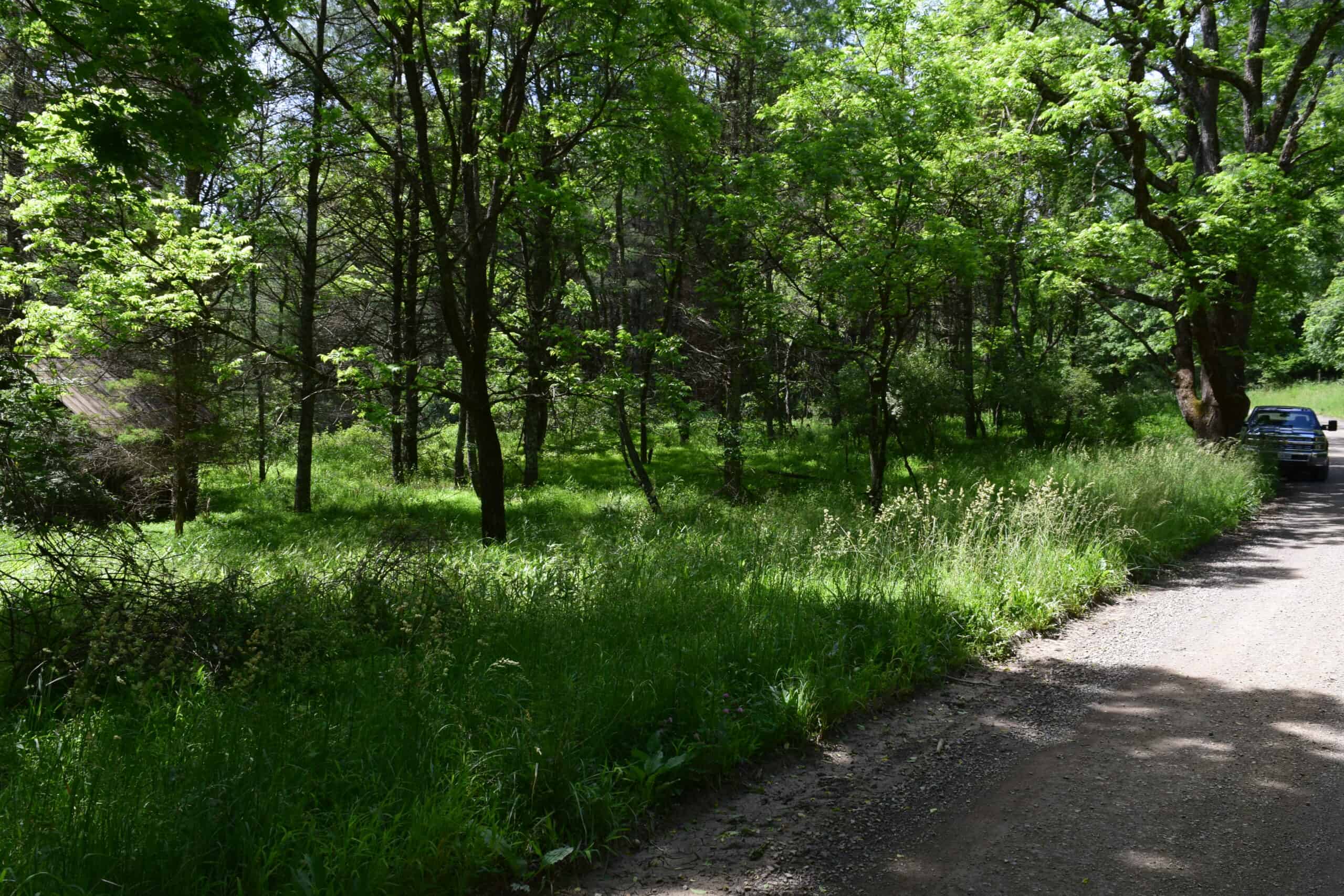 Wooded Land for Sale in Floyd VA