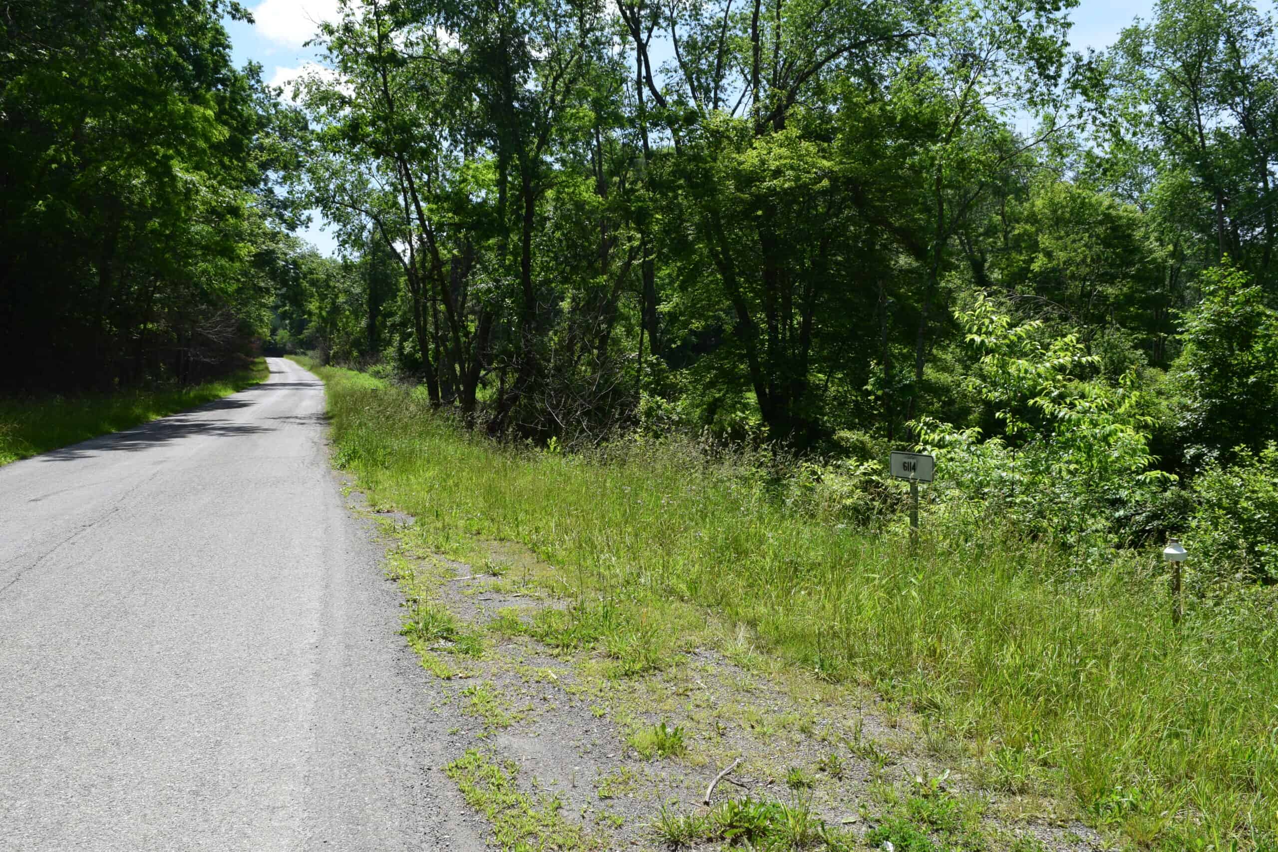 Wooded Land for Sale in Floyd VA