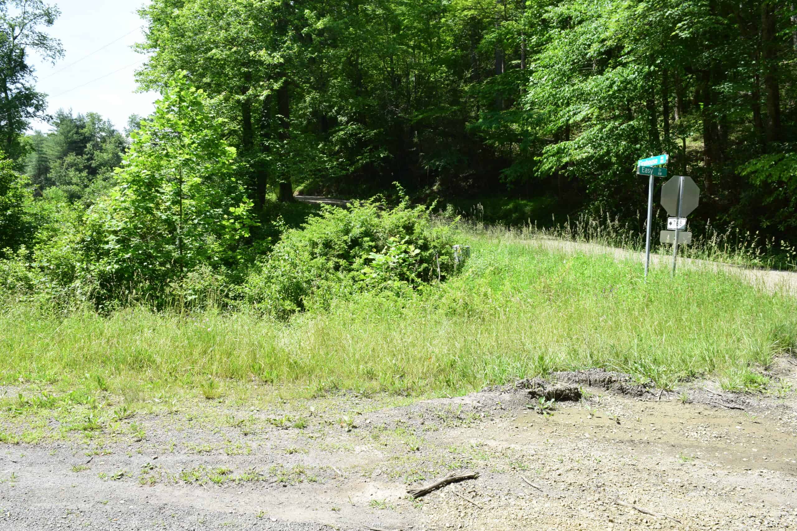 Wooded Land for Sale in Floyd VA