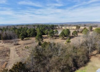 Hobby Farm and 28 Acres in the Ozarks For Sale