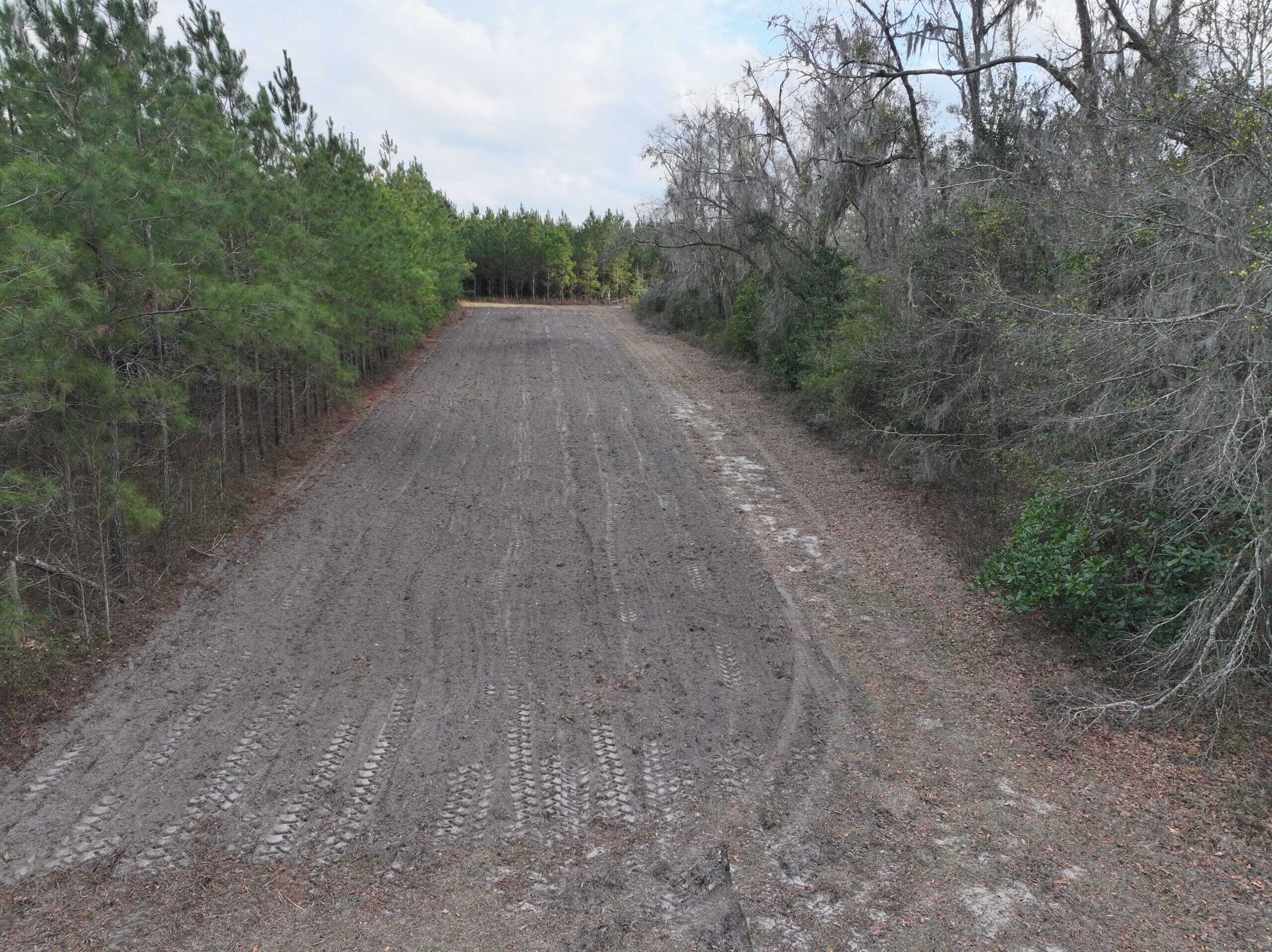160 Acres Madison FL | Sustainable Timber Income & Trophy Hunting
