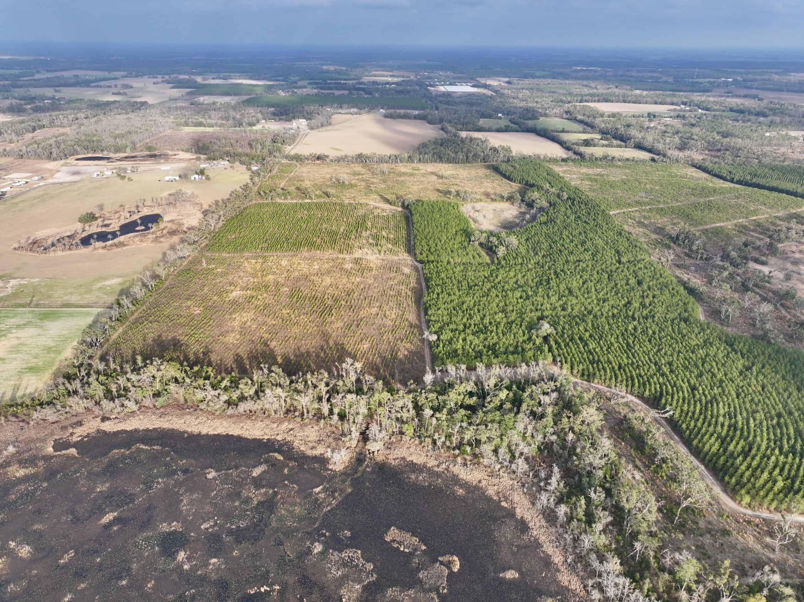 160 Acres Madison FL | Sustainable Timber Income & Trophy Hunting