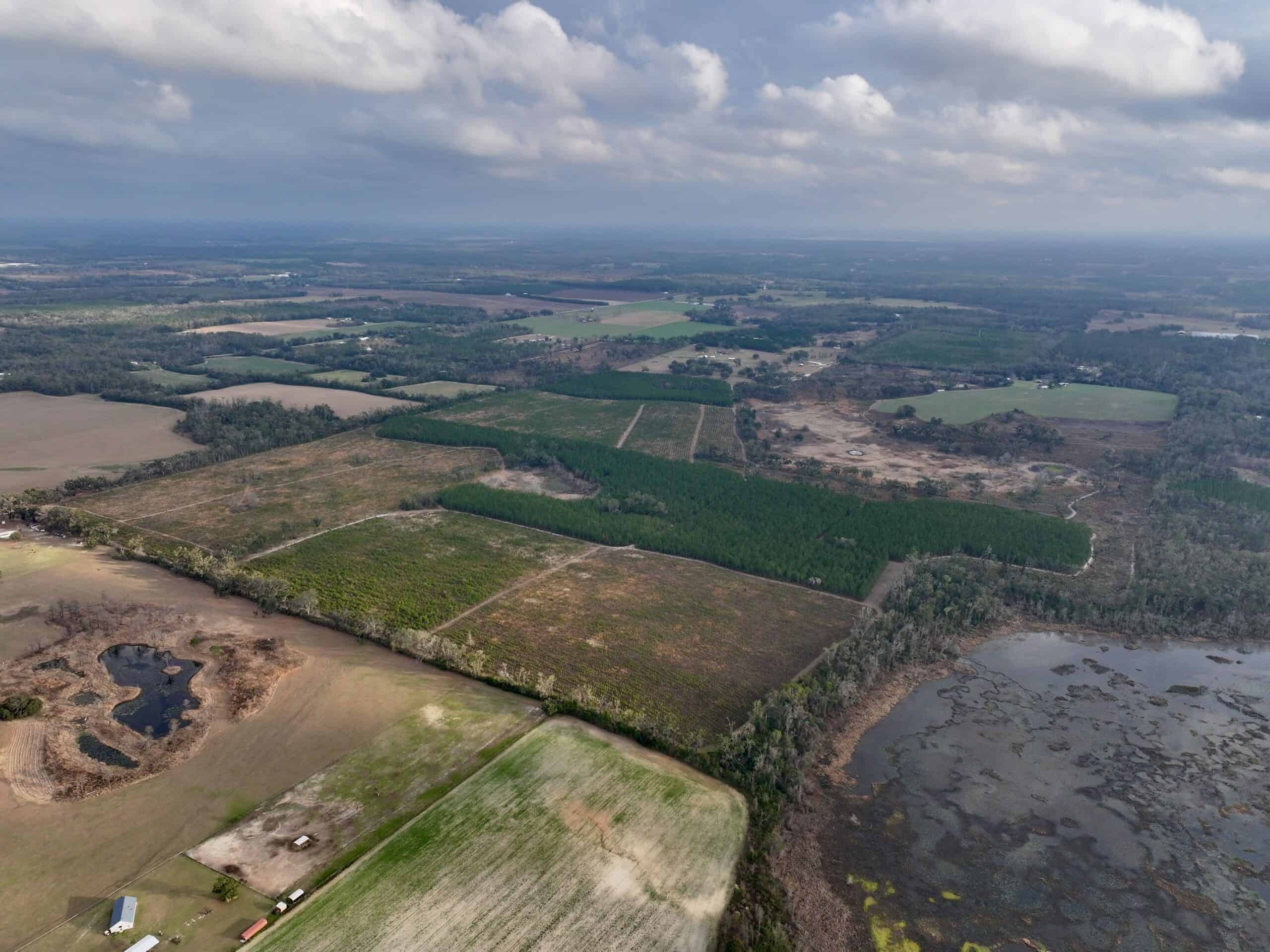 160 Acres Madison FL | Sustainable Timber Income & Trophy Hunting