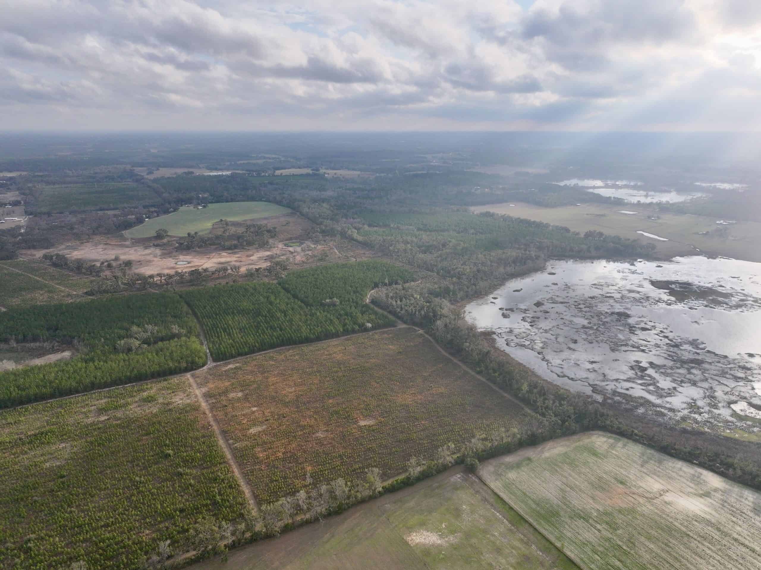 160 Acres Madison FL | Sustainable Timber Income & Trophy Hunting