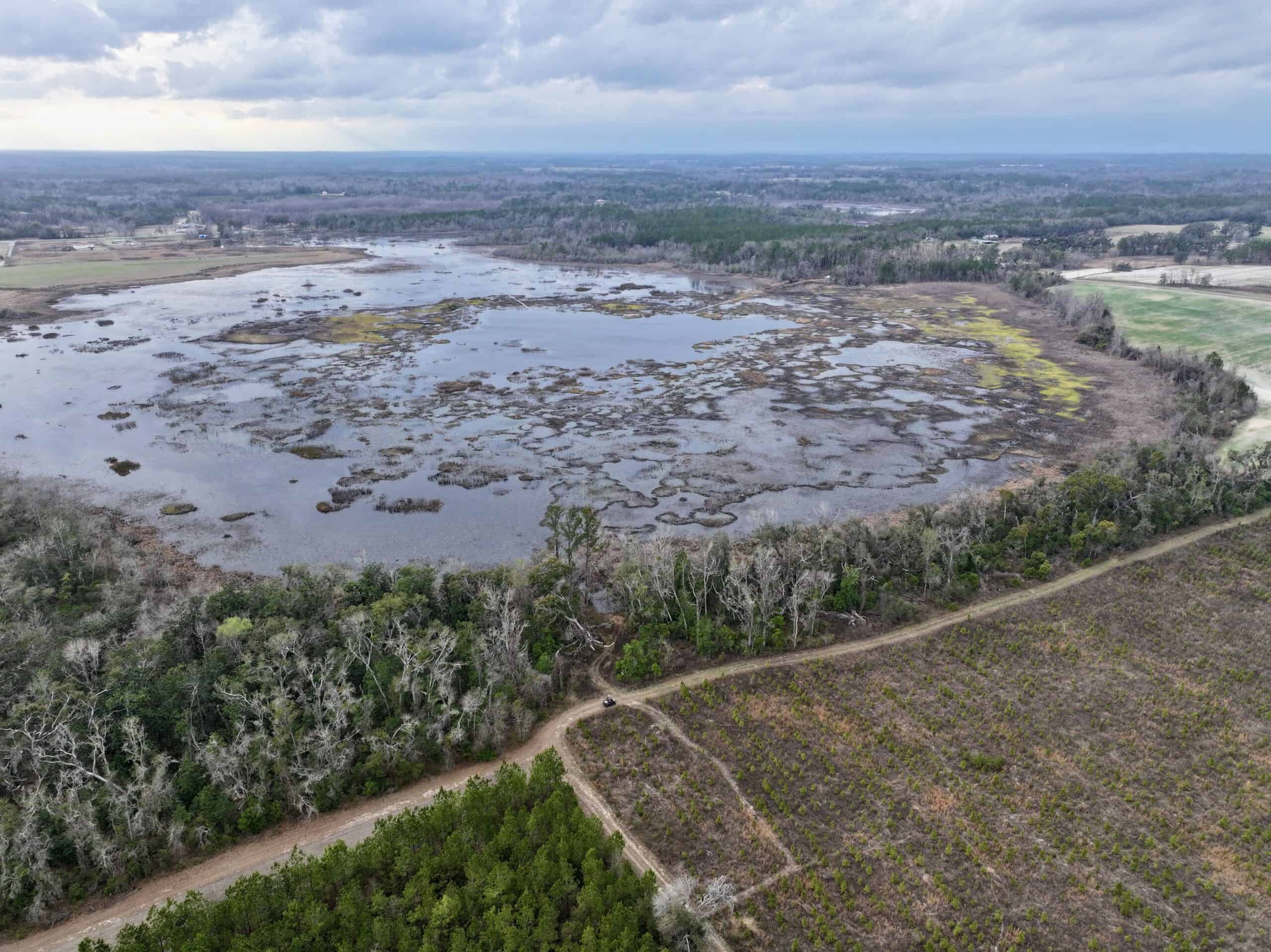 160 Acres Madison FL | Sustainable Timber Income & Trophy Hunting